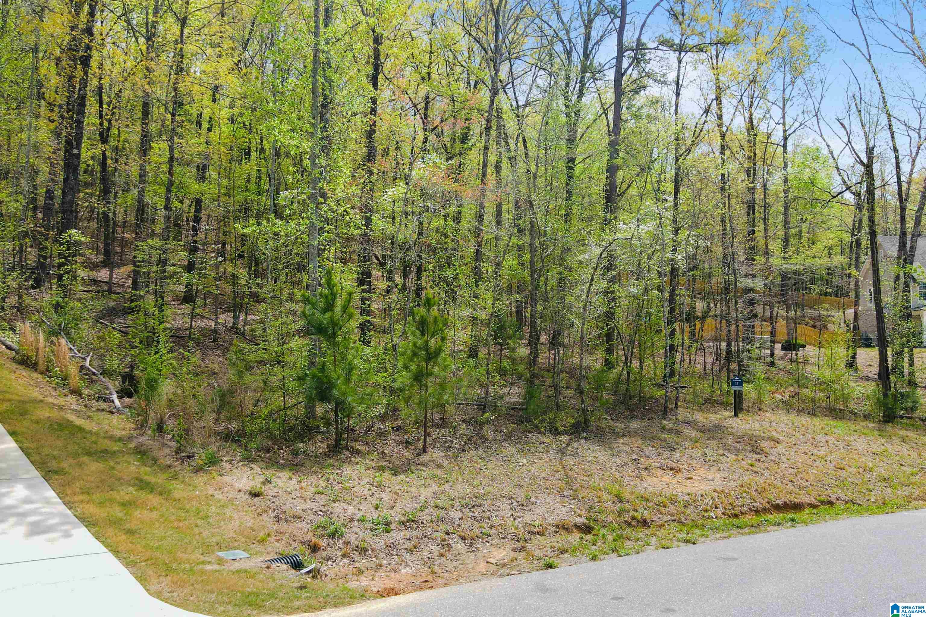 4th image of 712 Hickory Hollow, Chelsea, AL 35043 | MLS# 21458515