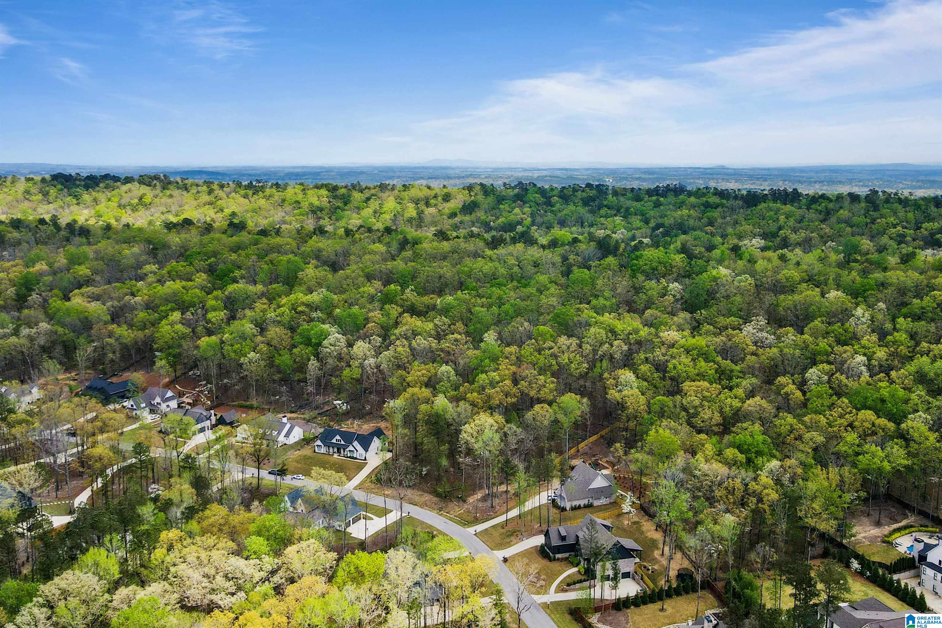 5th image of 712 Hickory Hollow, Chelsea, AL 35043 | MLS# 21458515