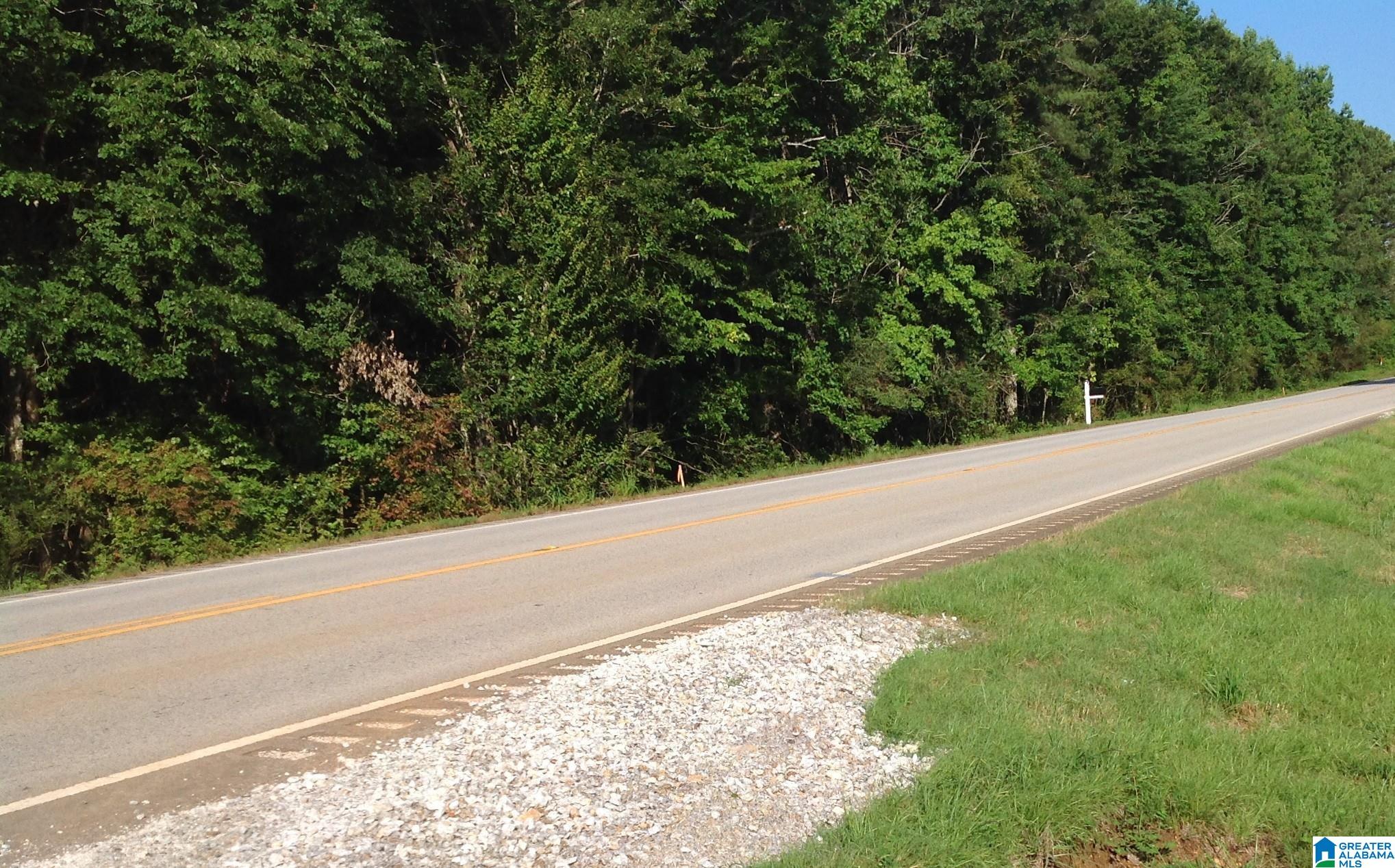 38th image of 14885 Hwy 46, Heflin, AL 36264 | MLS# 21458603