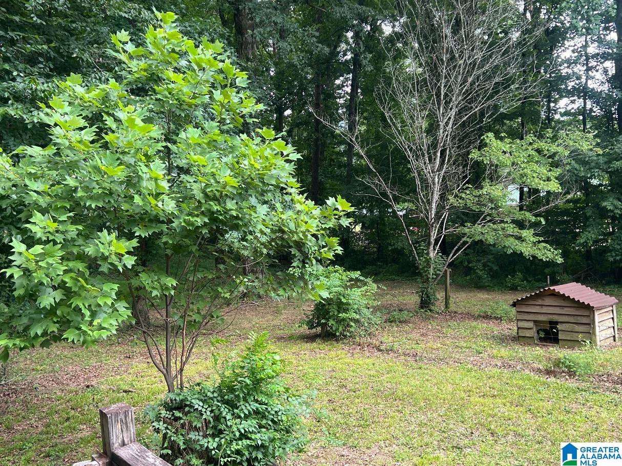 15th image of 110 Walker Gap Road, Springville, AL 35146 | MLS# 21458799
