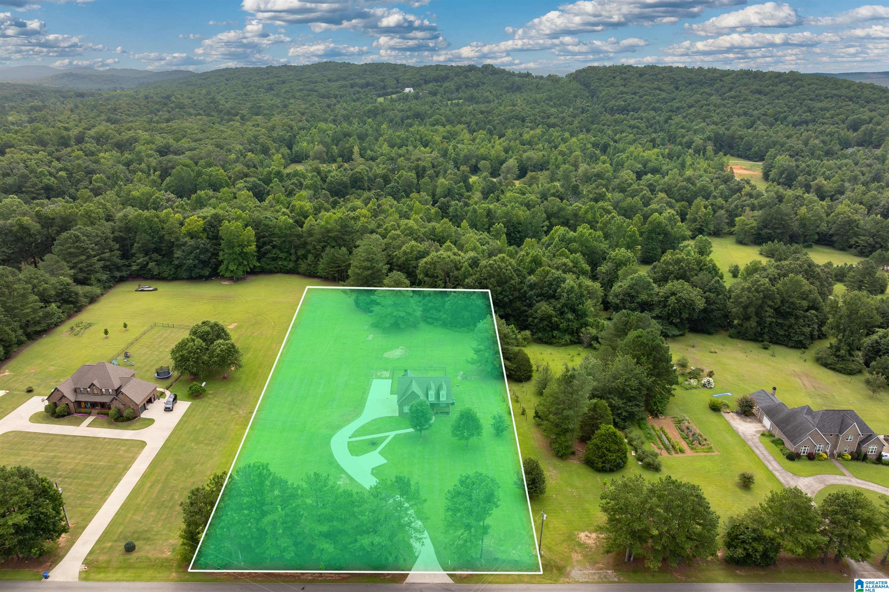 4th image of 2448 Crawfords Cove Road, Springville, AL 35146 | MLS# 21458858