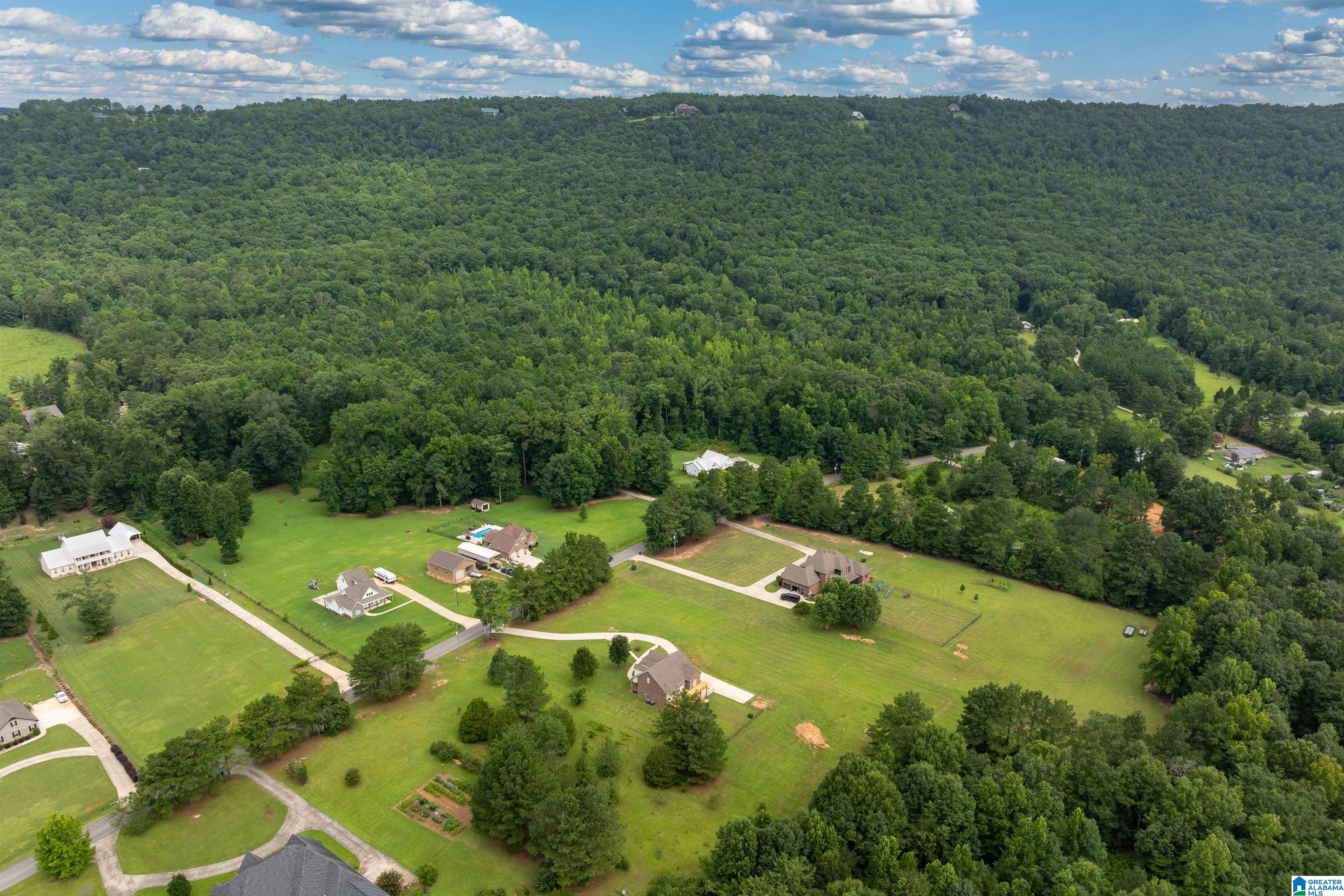 54th image of 2448 Crawfords Cove Road, Springville, AL 35146 | MLS# 21458858