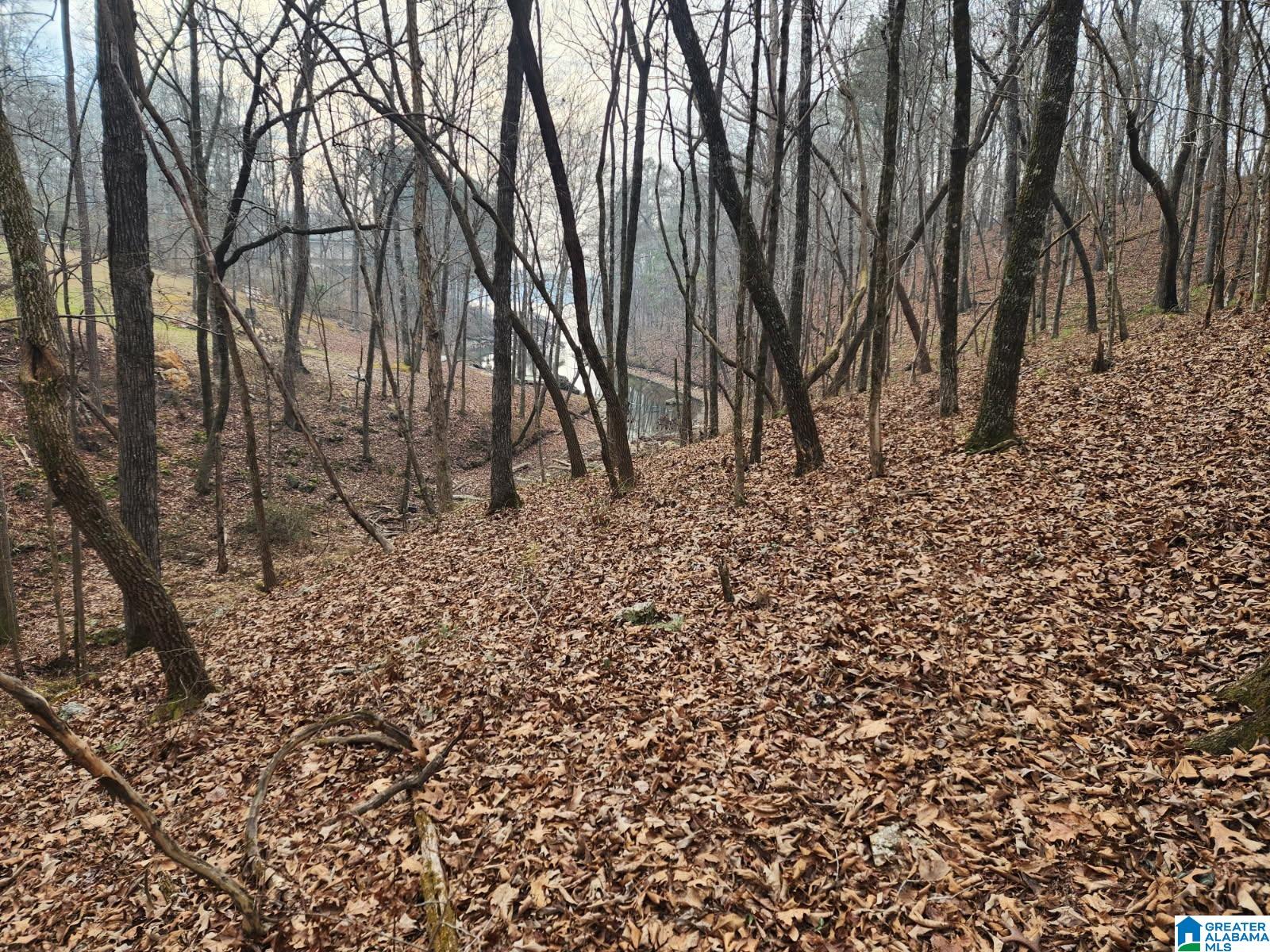 MAYS BEND DRIVE