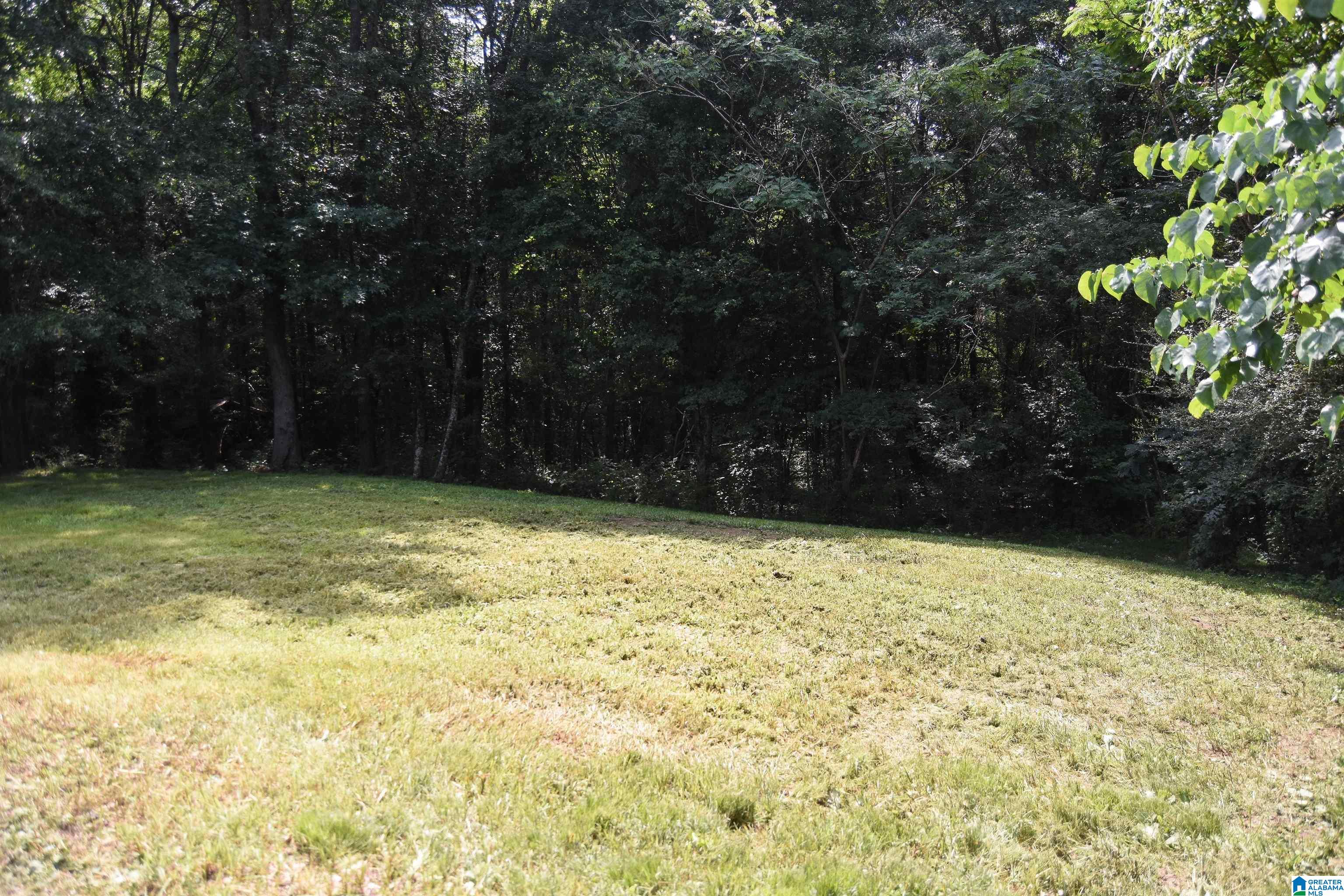 46th image of 15110 Al Hwy 9, Piedmont, AL 36272 | MLS# 21459078