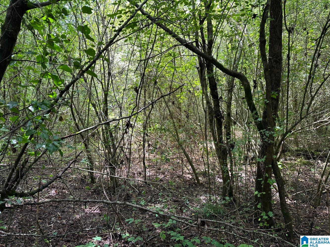 2nd image of 09 Acres Branch Cove, Odenville, AL 35120 | MLS# 21459082