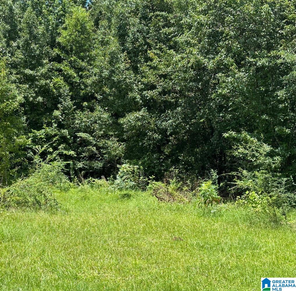 4th image of 09 Acres Branch Cove, Odenville, AL 35120 | MLS# 21459082