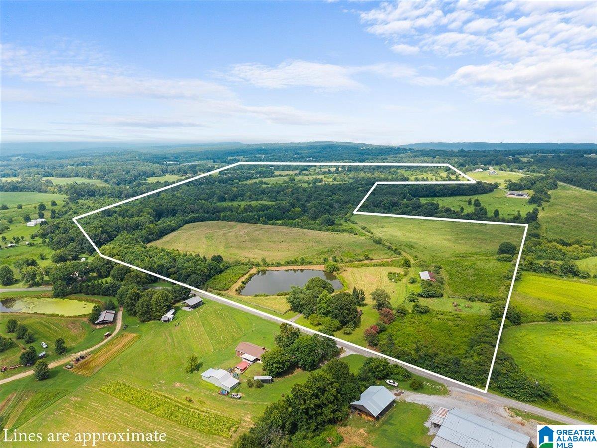 1st image of 270 Reneau Road, Oneonta, AL 35121 | MLS# 21459088