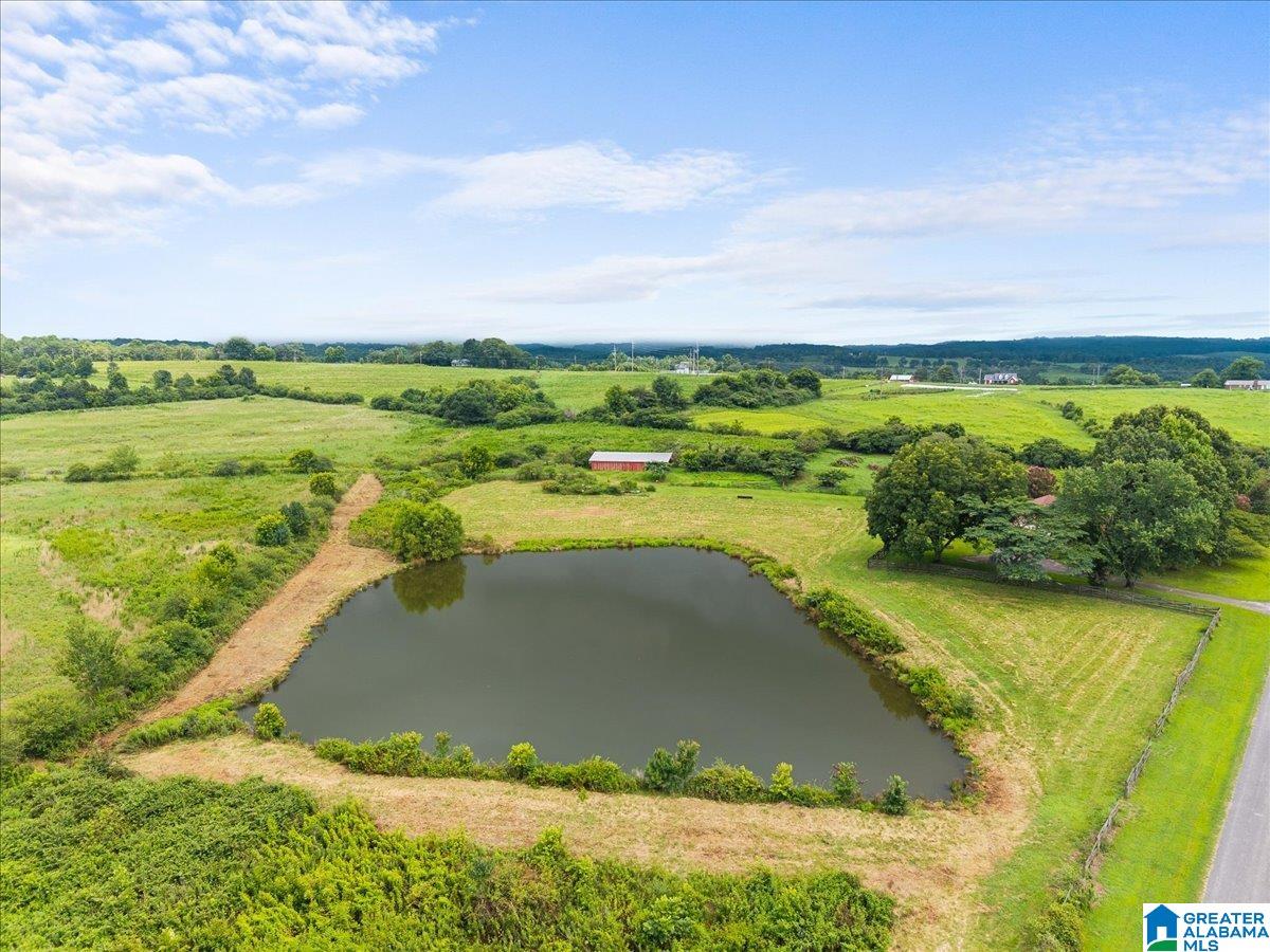 38th image of 270 Reneau Road, Oneonta, AL 35121 | MLS# 21459088