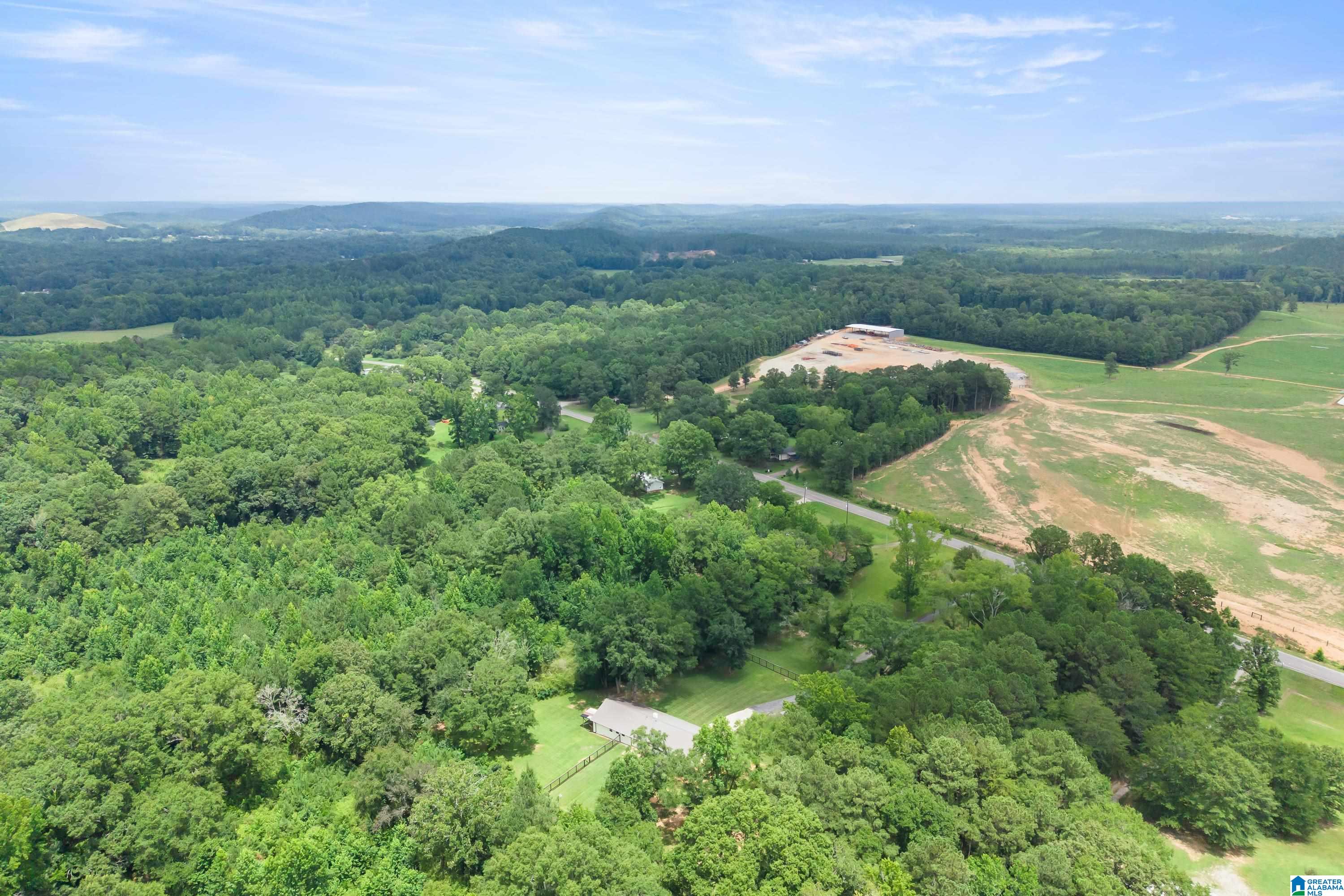 54th image of 3419 Old Coal City Road, Pell City, AL 35125 | MLS# 21459089