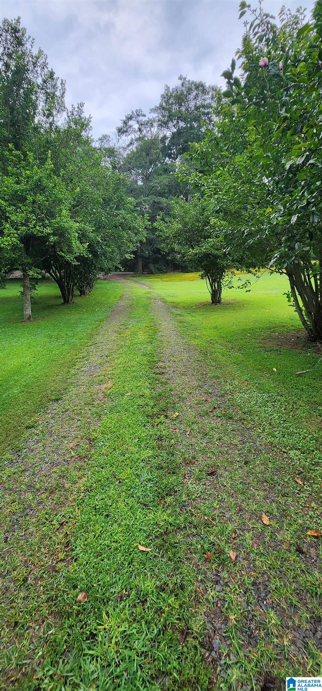 2nd image of 368 Dodd Road, Altoona, AL 35952 | MLS# 21459090