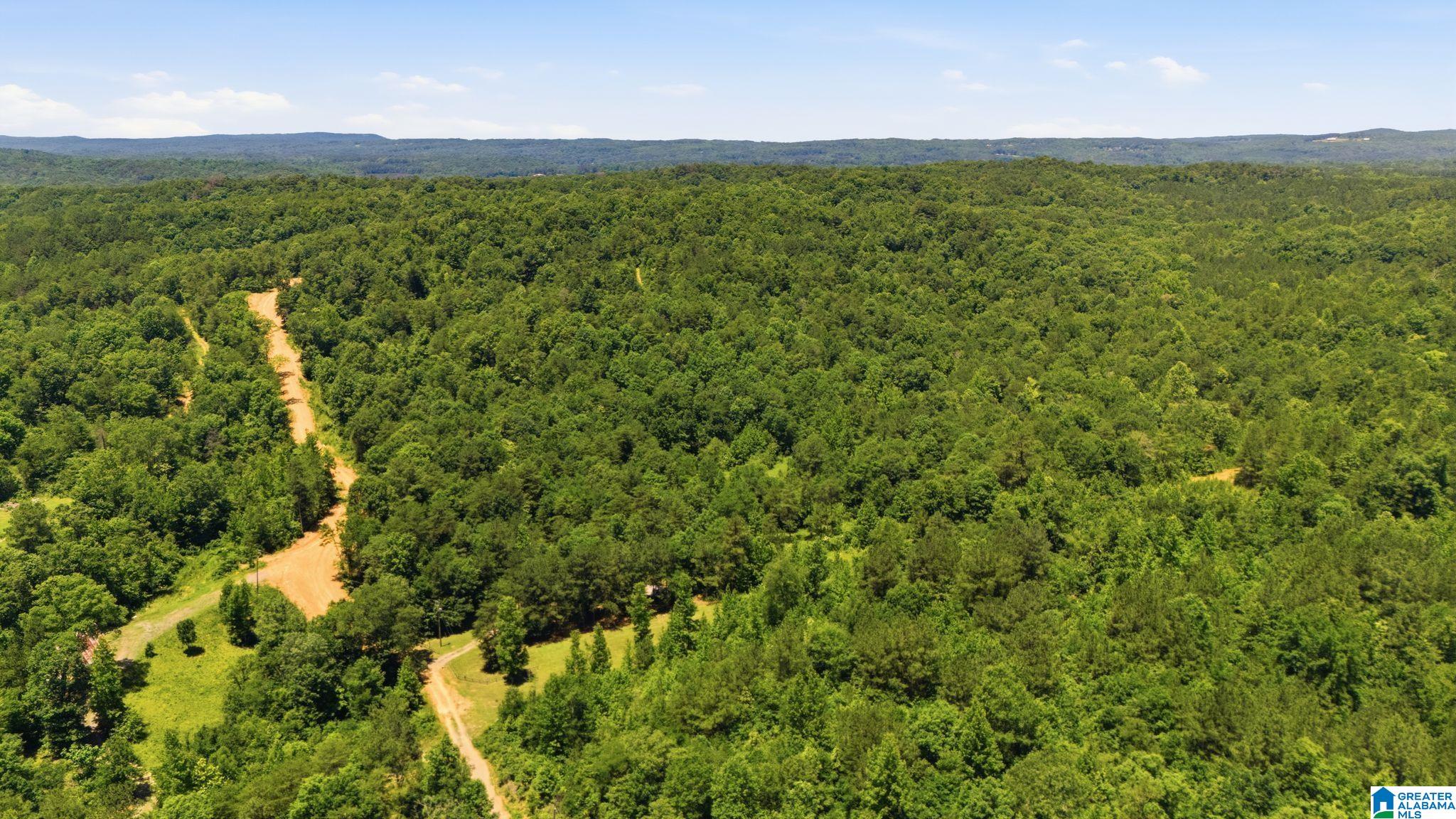 2nd image of 620 Lucas Dr, Hayden, AL 35079 | MLS# 21459115