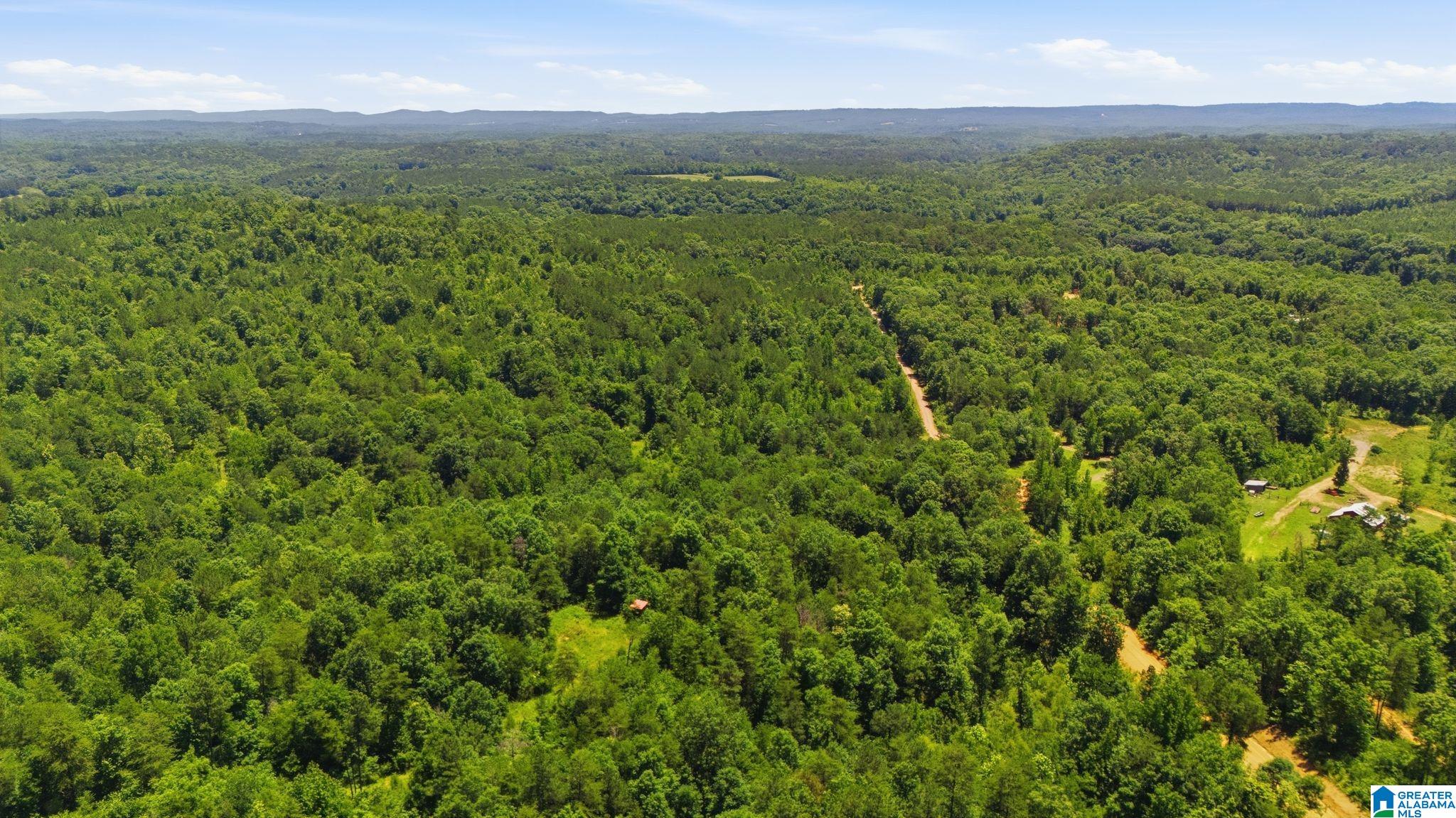 13th image of 620 Lucas Dr, Hayden, AL 35079 | MLS# 21459115