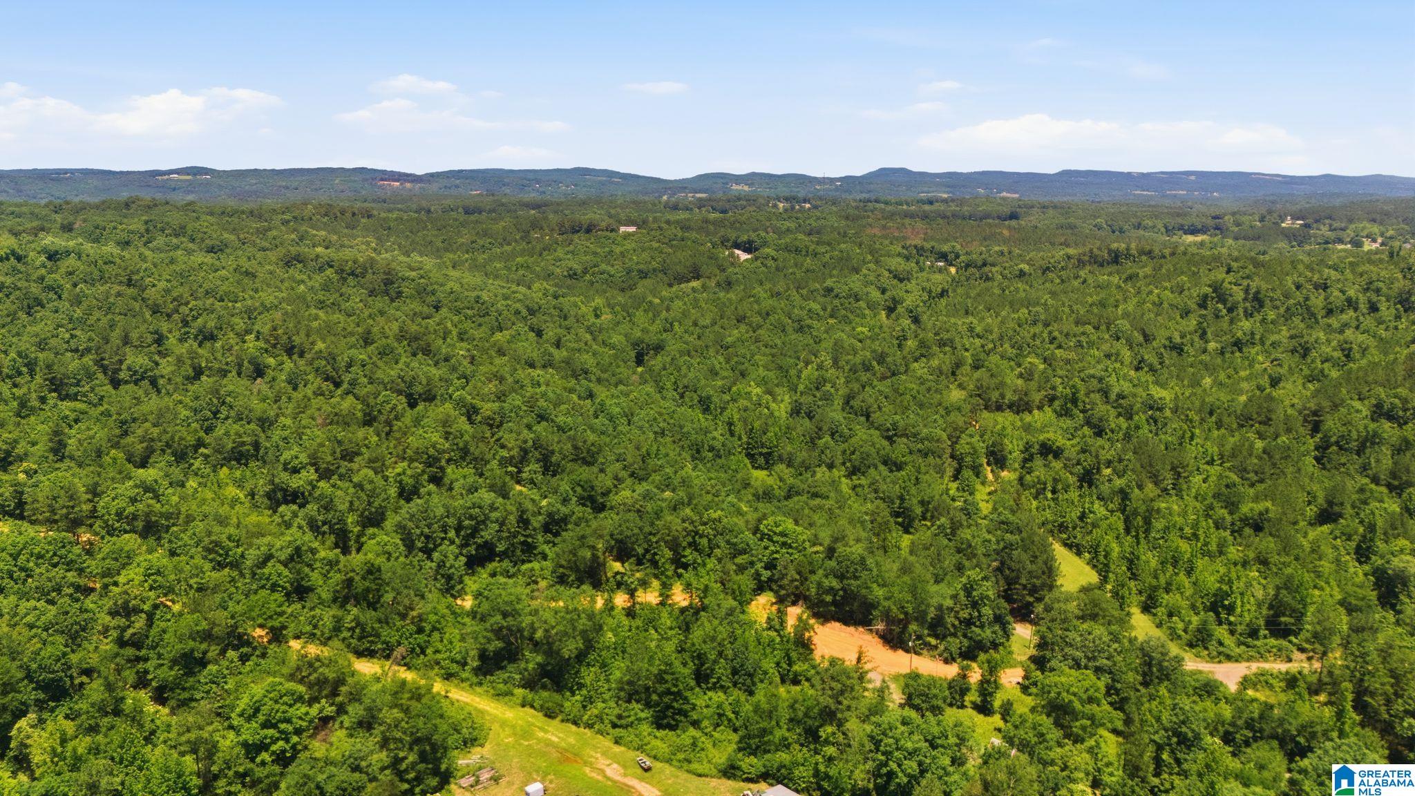 3rd image of 620 Lucas Dr, Hayden, AL 35079 | MLS# 21459115