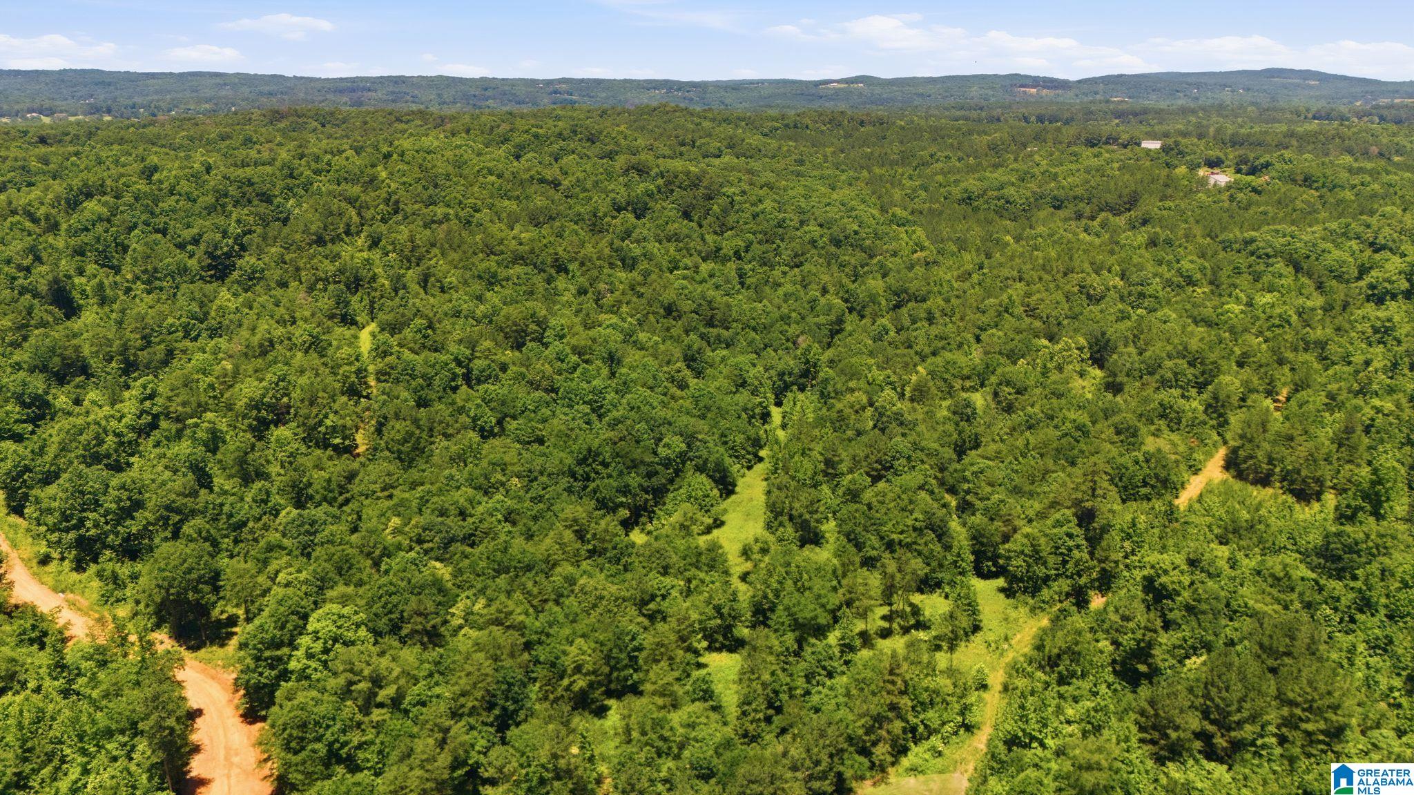 4th image of 620 Lucas Dr, Hayden, AL 35079 | MLS# 21459115