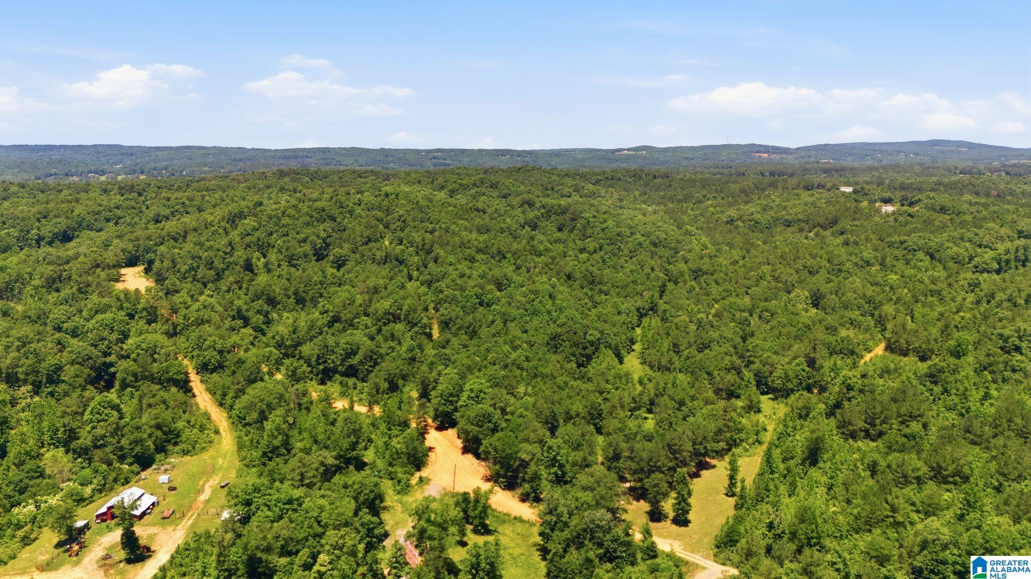 5th image of 620 Lucas Dr, Hayden, AL 35079 | MLS# 21459115