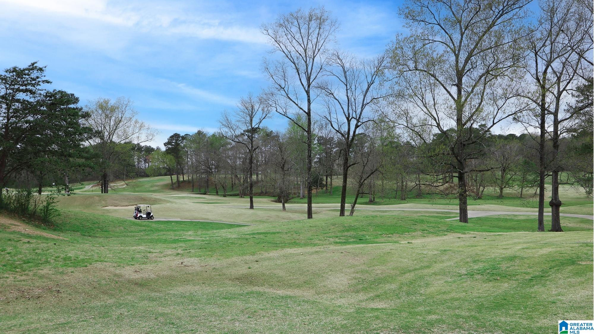 4th image of 1163 Timberline Ridge, Calera, AL 35040 | MLS# 21459136
