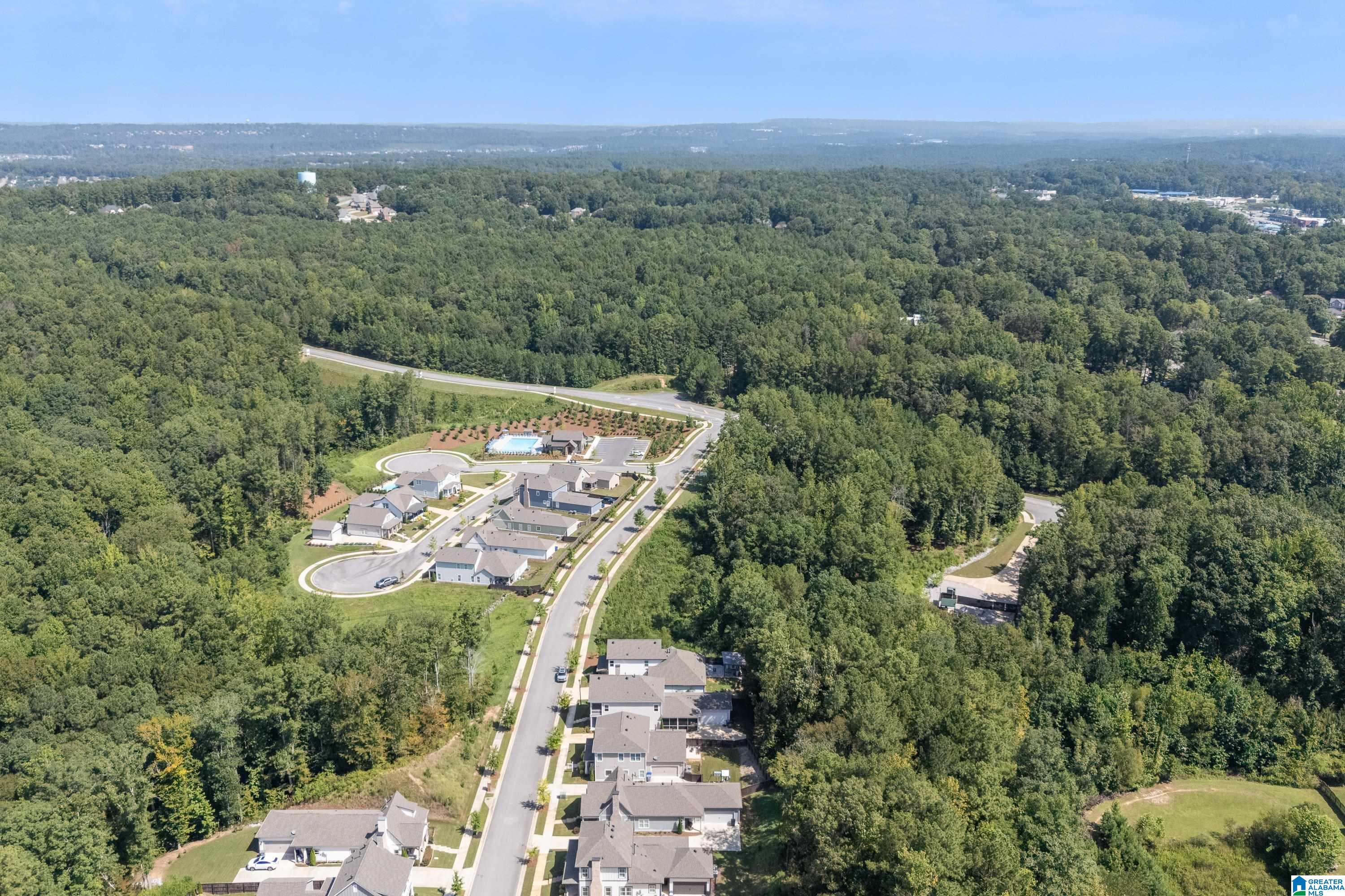 69th image of 153 Barimore Boulevard, Helena, AL 35080 | MLS# 21459157
