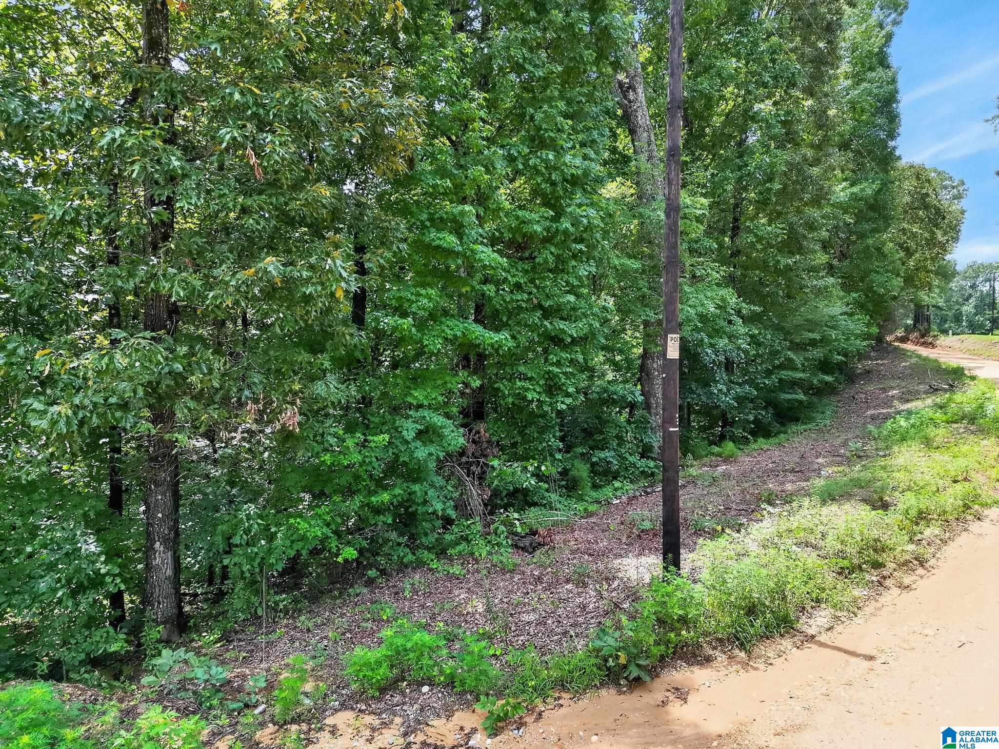 2nd image of 0 County Road 133, Jemison, AL 35085 | MLS# 21459187