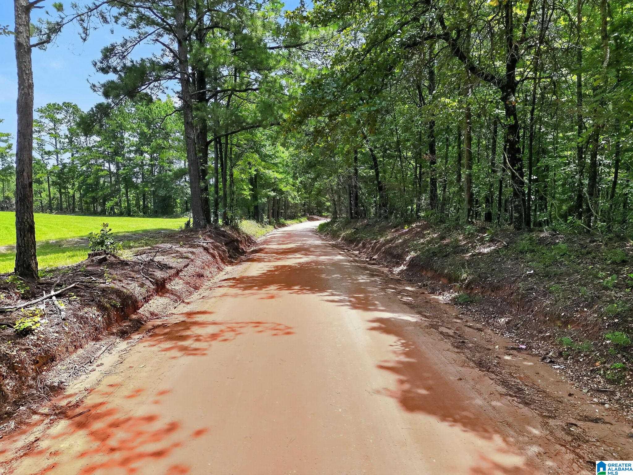 12th image of 0 County Road 133, Jemison, AL 35085 | MLS# 21459187