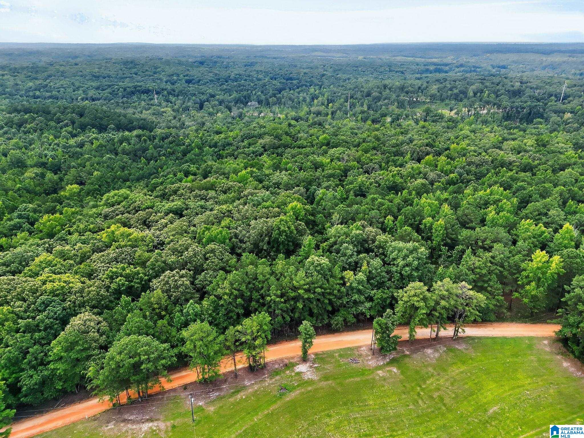 3rd image of 0 County Road 133, Jemison, AL 35085 | MLS# 21459187