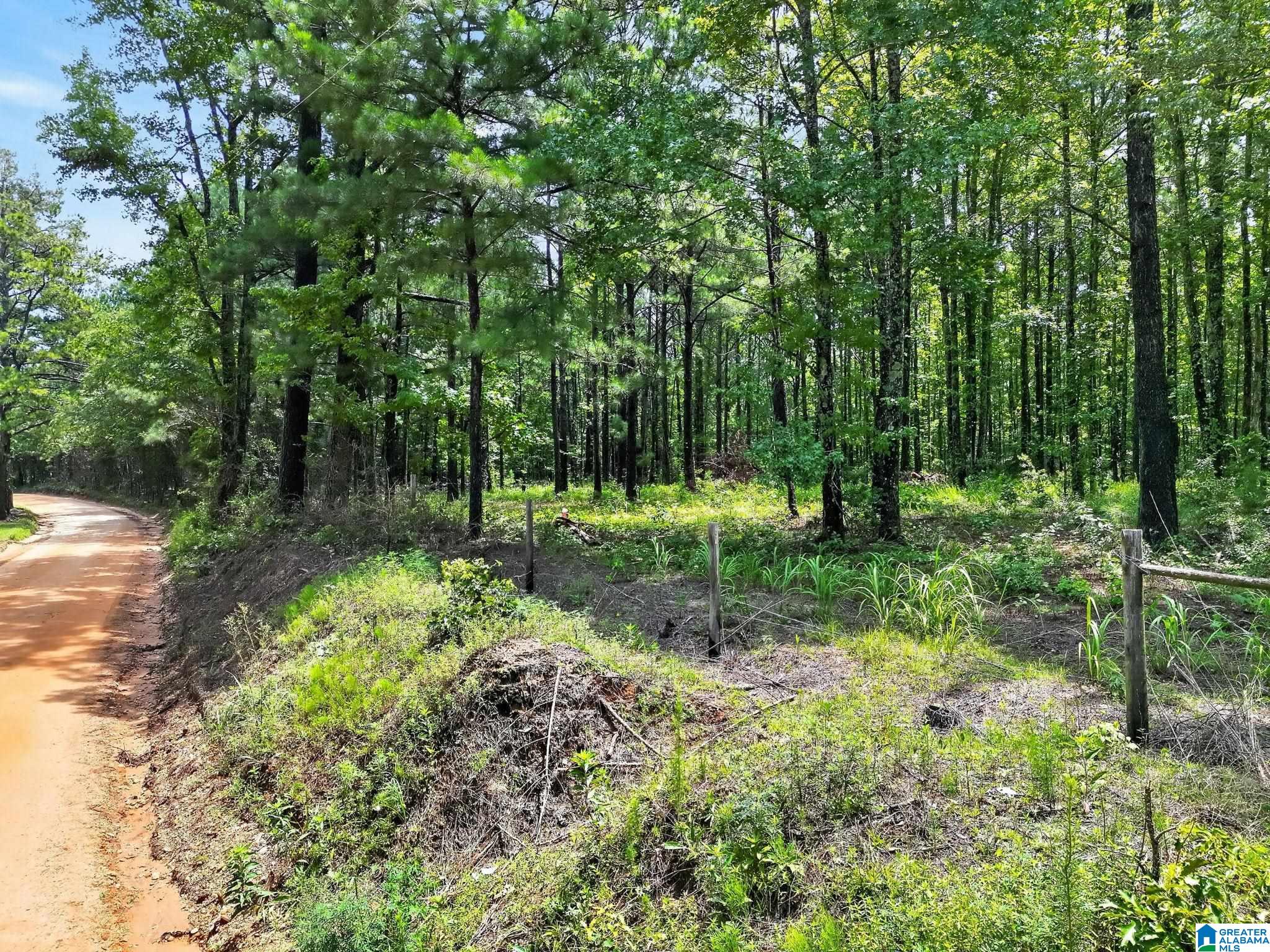 4th image of 0 County Road 133, Jemison, AL 35085 | MLS# 21459187
