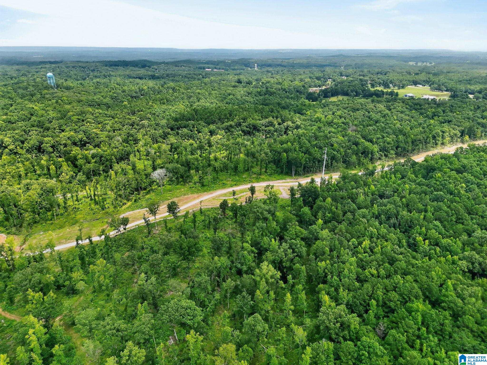5th image of 0 County Road 133, Jemison, AL 35085 | MLS# 21459187