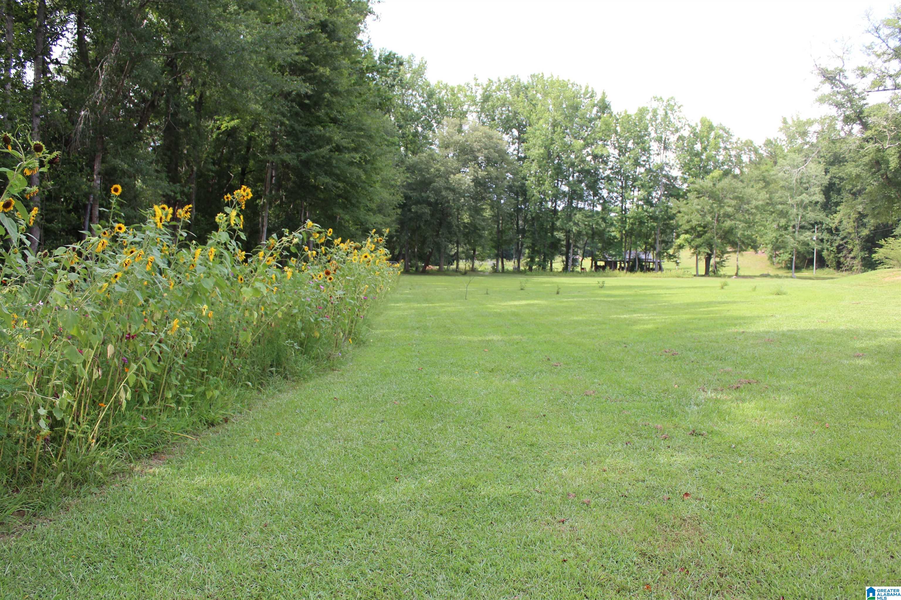 5th image of 1494 County Road 49, Wadley, AL 36276 | MLS# 21459198