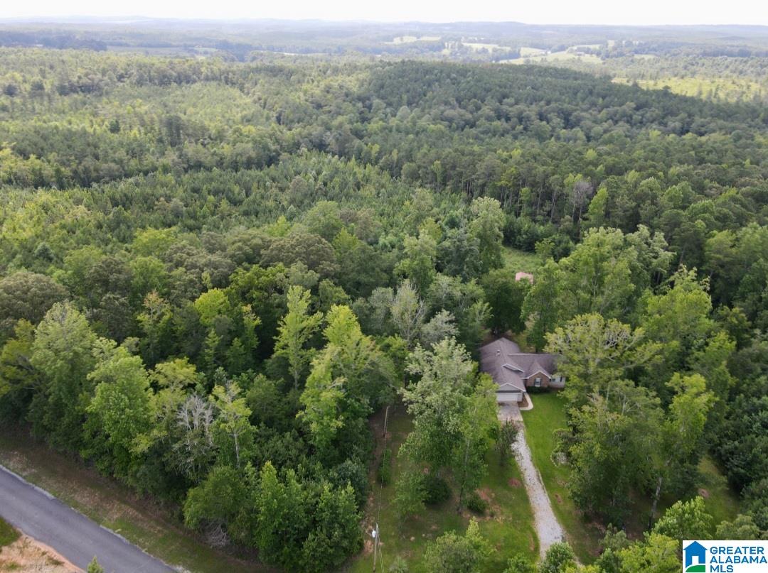 47th image of 2537 Bluff Valley Road, Cragford, AL 36255 | MLS# 21459354