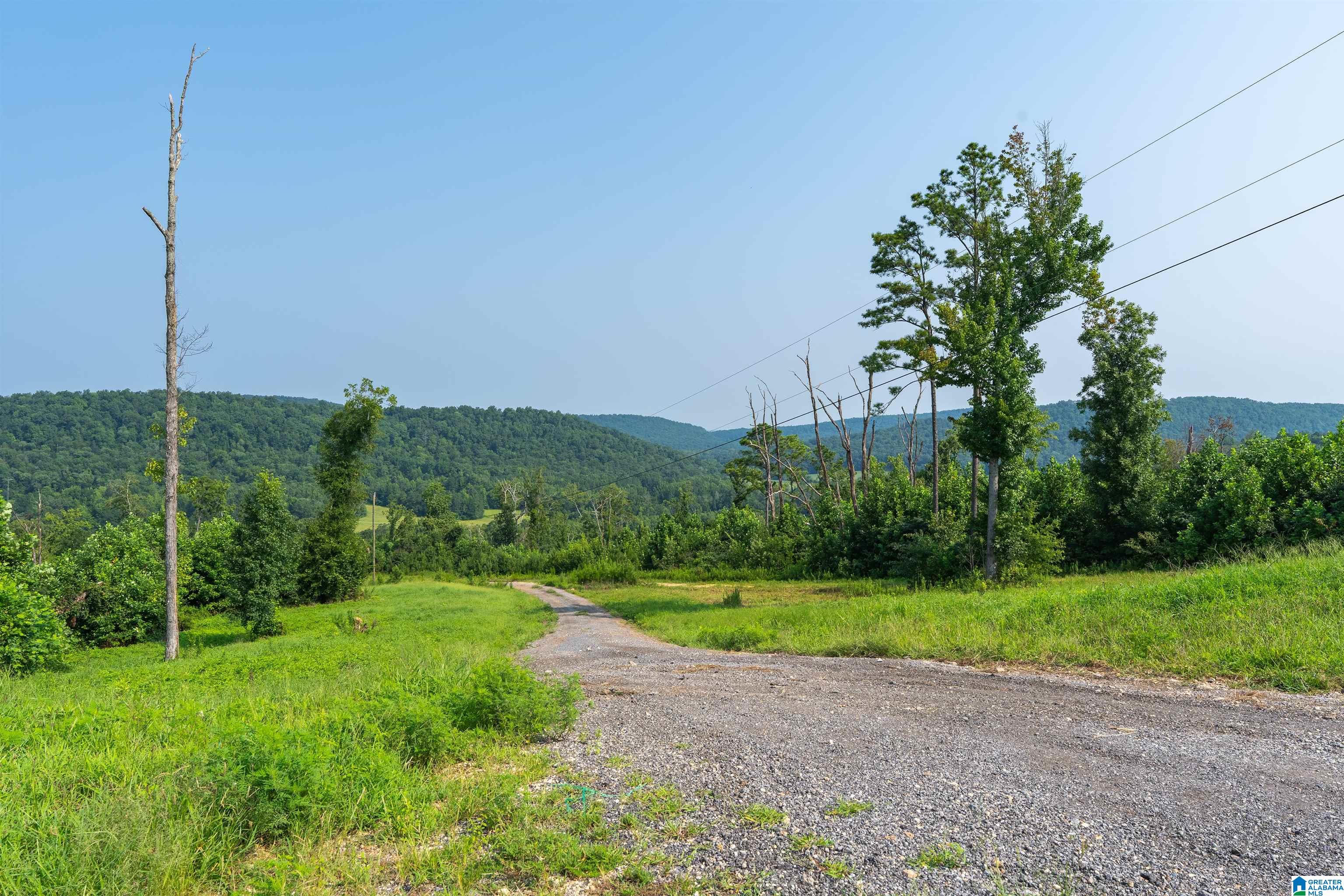 4th image of 75 Hem Dr, Oneonta, AL 35121 | MLS# 21459405