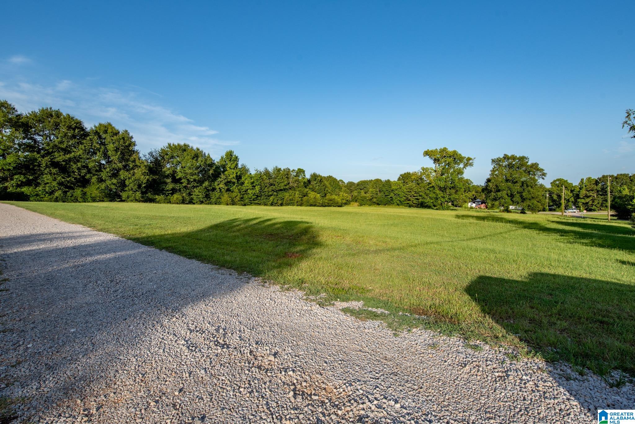 49th image of 122 Hickory Dr, Brent, AL 35034 | MLS# 21459410
