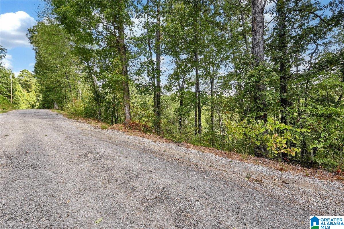 2nd image of Lot 22 County Road 875, Crane Hill, AL 35053 | MLS# 21459423