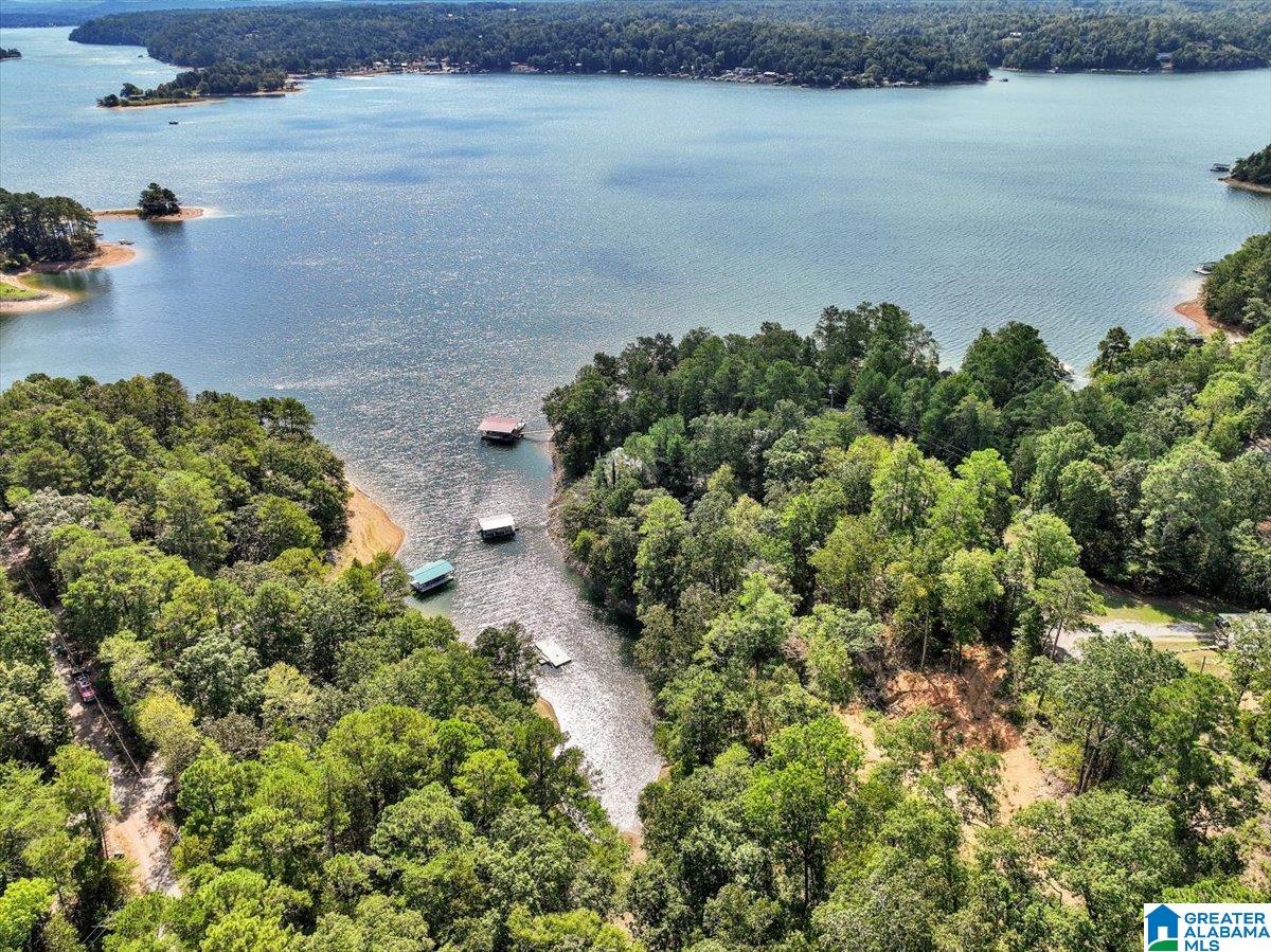 19th image of Lot 22 County Road 875, Crane Hill, AL 35053 | MLS# 21459423