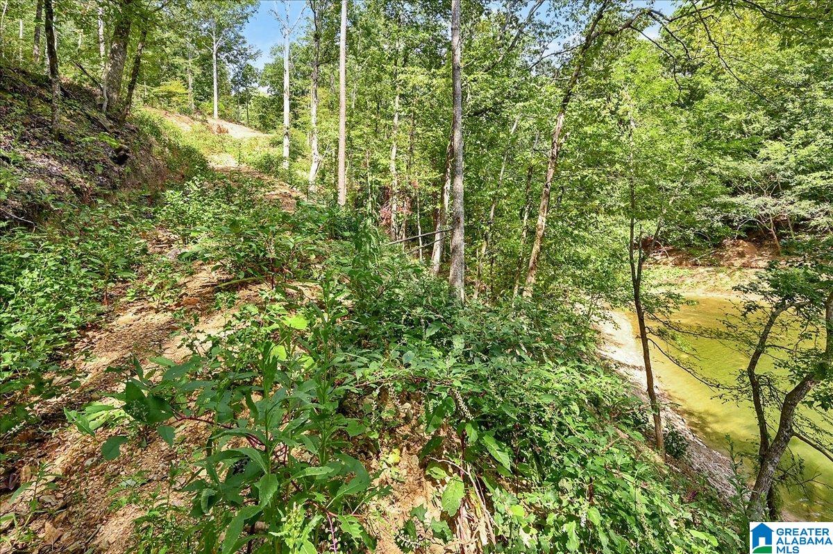 5th image of Lot 22 County Road 875, Crane Hill, AL 35053 | MLS# 21459423