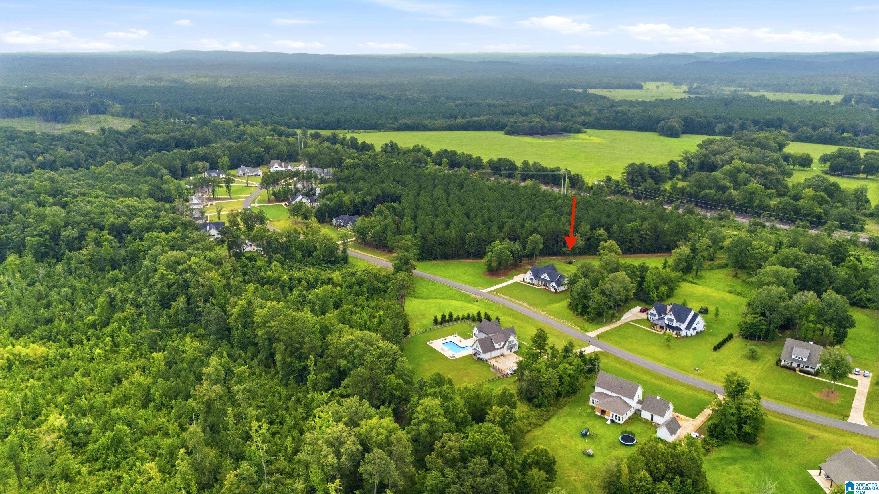 57th image of 200 Stonewood Trail, Springville, AL 35146 | MLS# 21459459