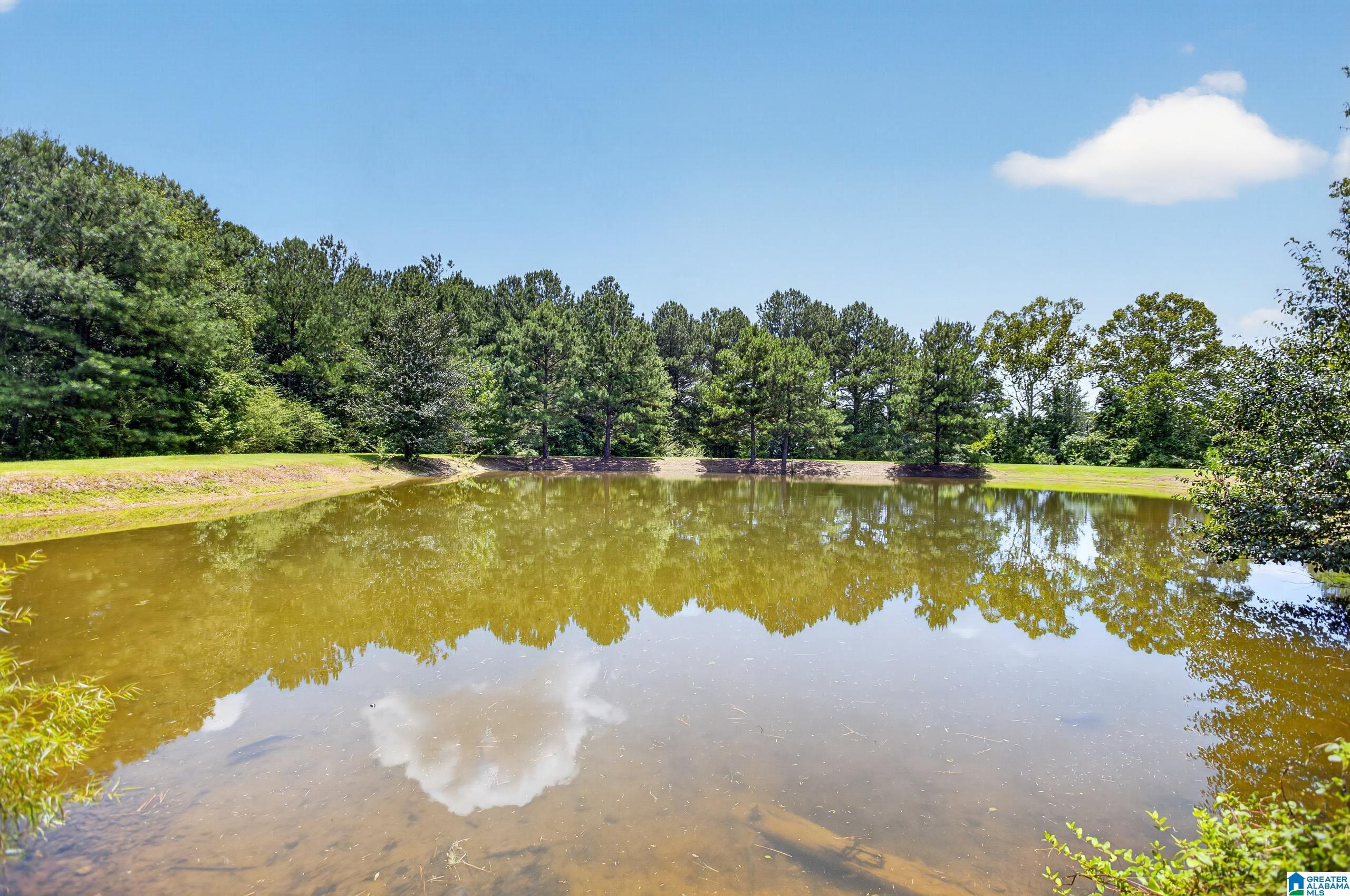 45th image of 18 Clemeul Dr, Piedmont, AL 36272 | MLS# 21459464