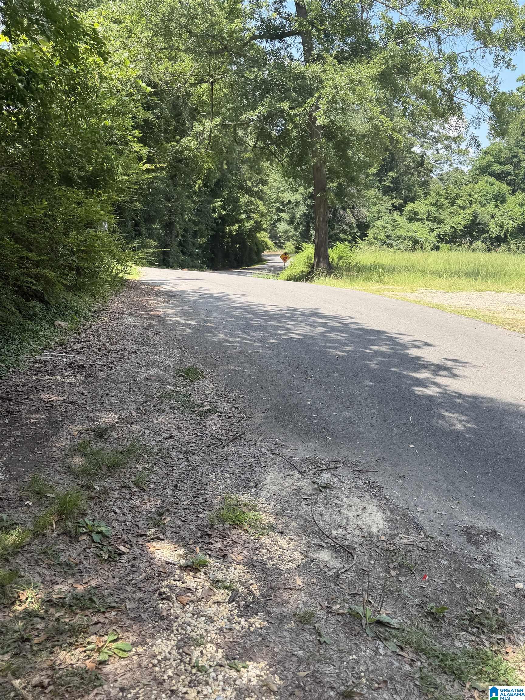 6th image of 100 Hwy 453, Sterrett, AL 35147 | MLS# 21459509