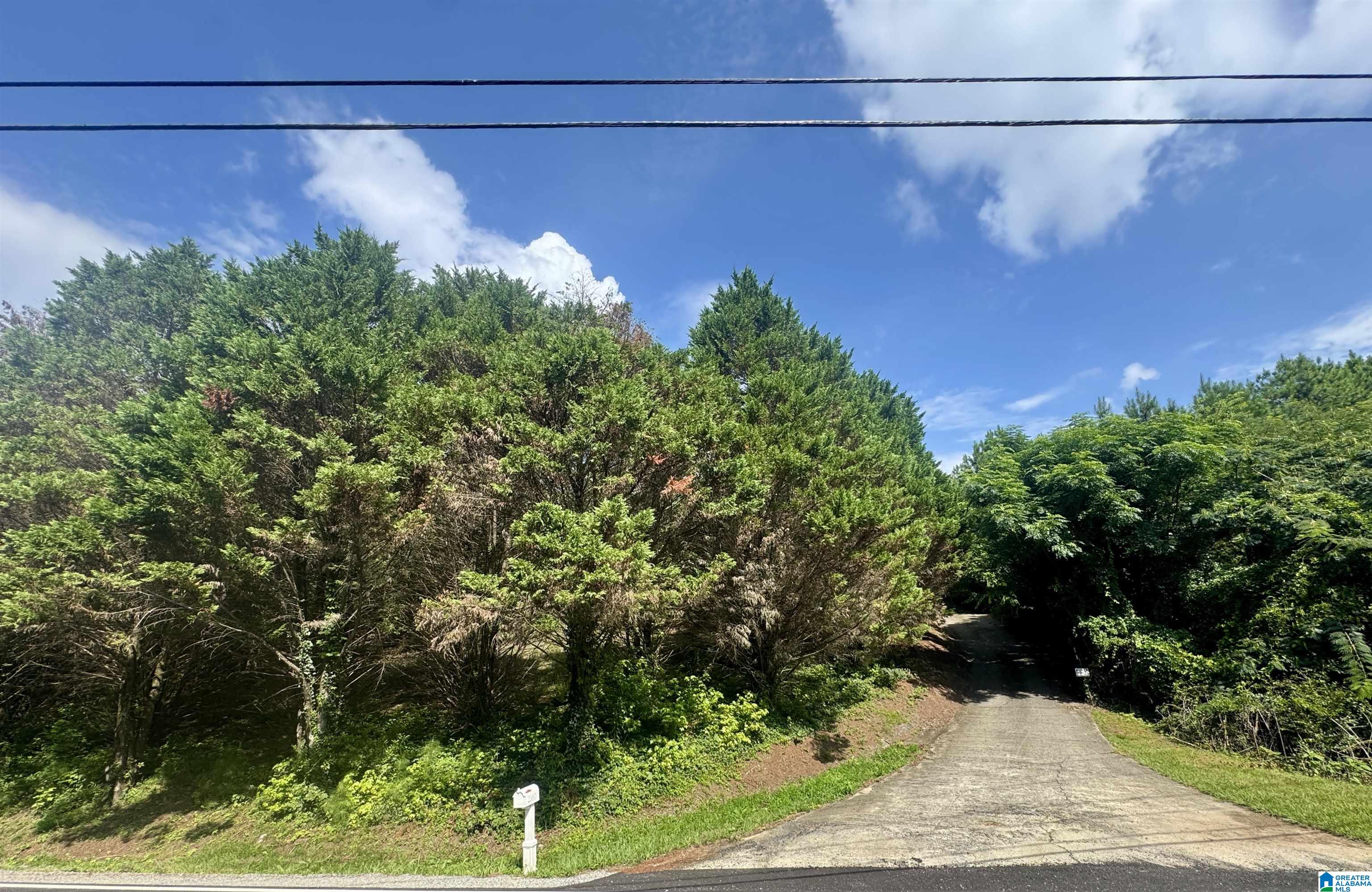 2nd image of 2380 Rushing Springs Road, Lincoln, AL 35096 | MLS# 21459552