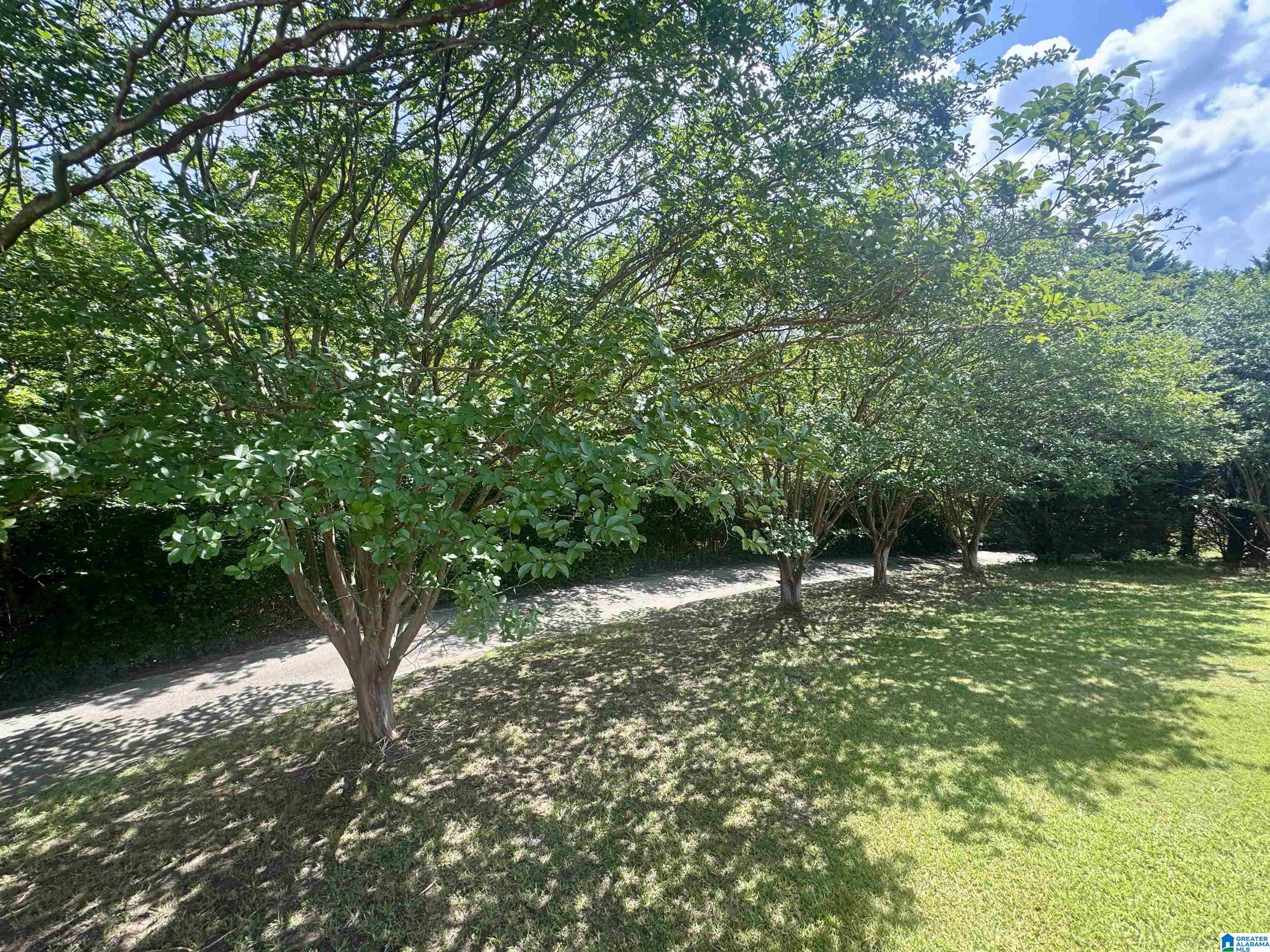 4th image of 2380 Rushing Springs Road, Lincoln, AL 35096 | MLS# 21459552