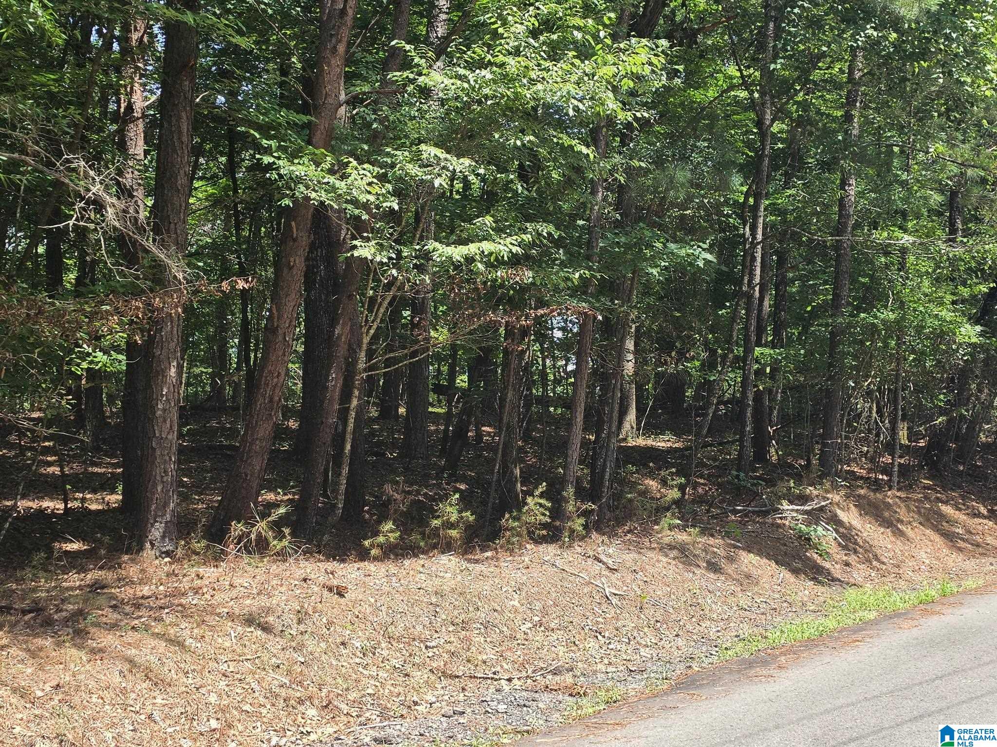 2nd image of 4875 War Eagle Dr, Bessemer, AL 35022 | MLS# 21459607