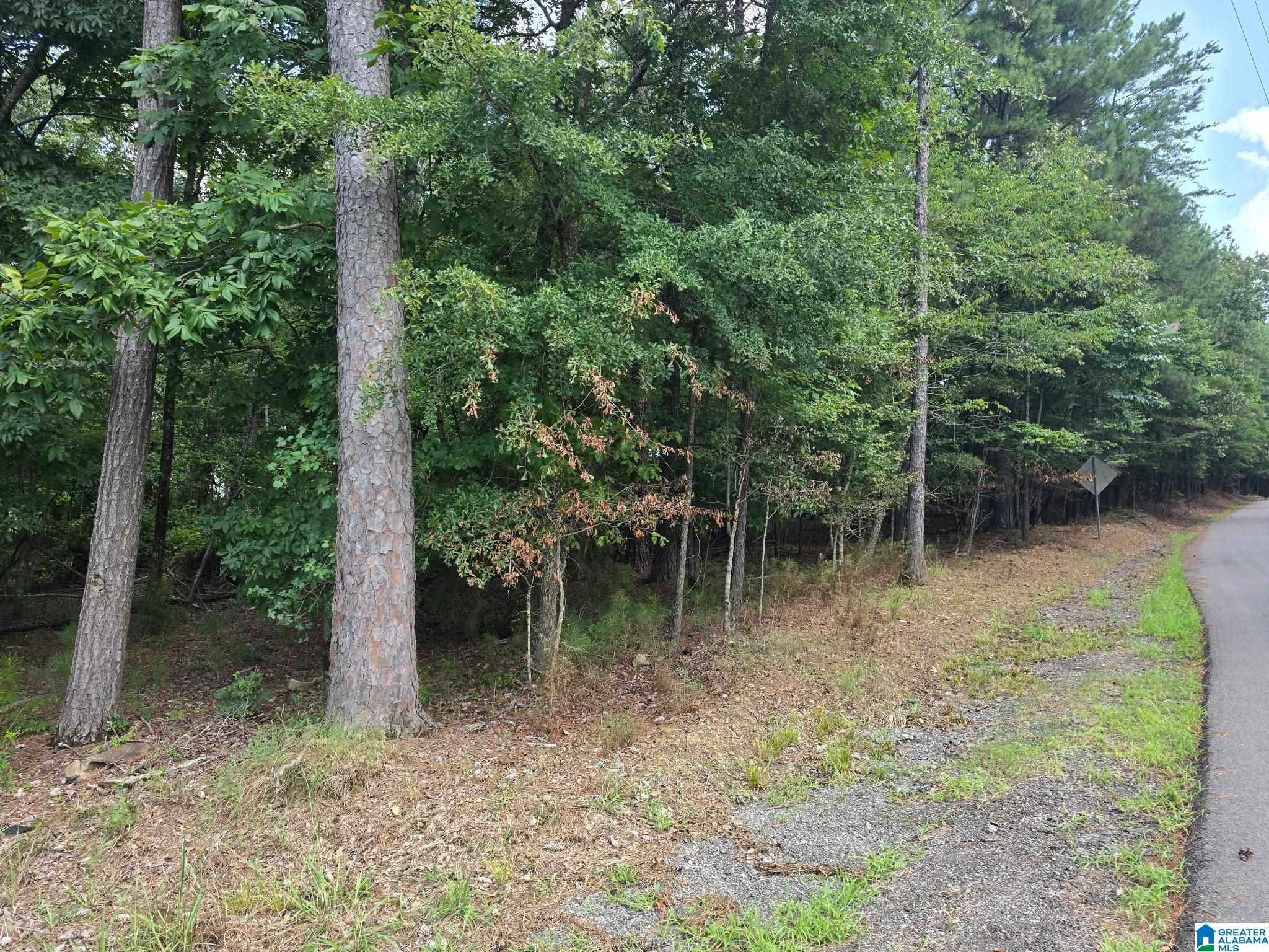 4th image of 4875 War Eagle Dr, Bessemer, AL 35022 | MLS# 21459607