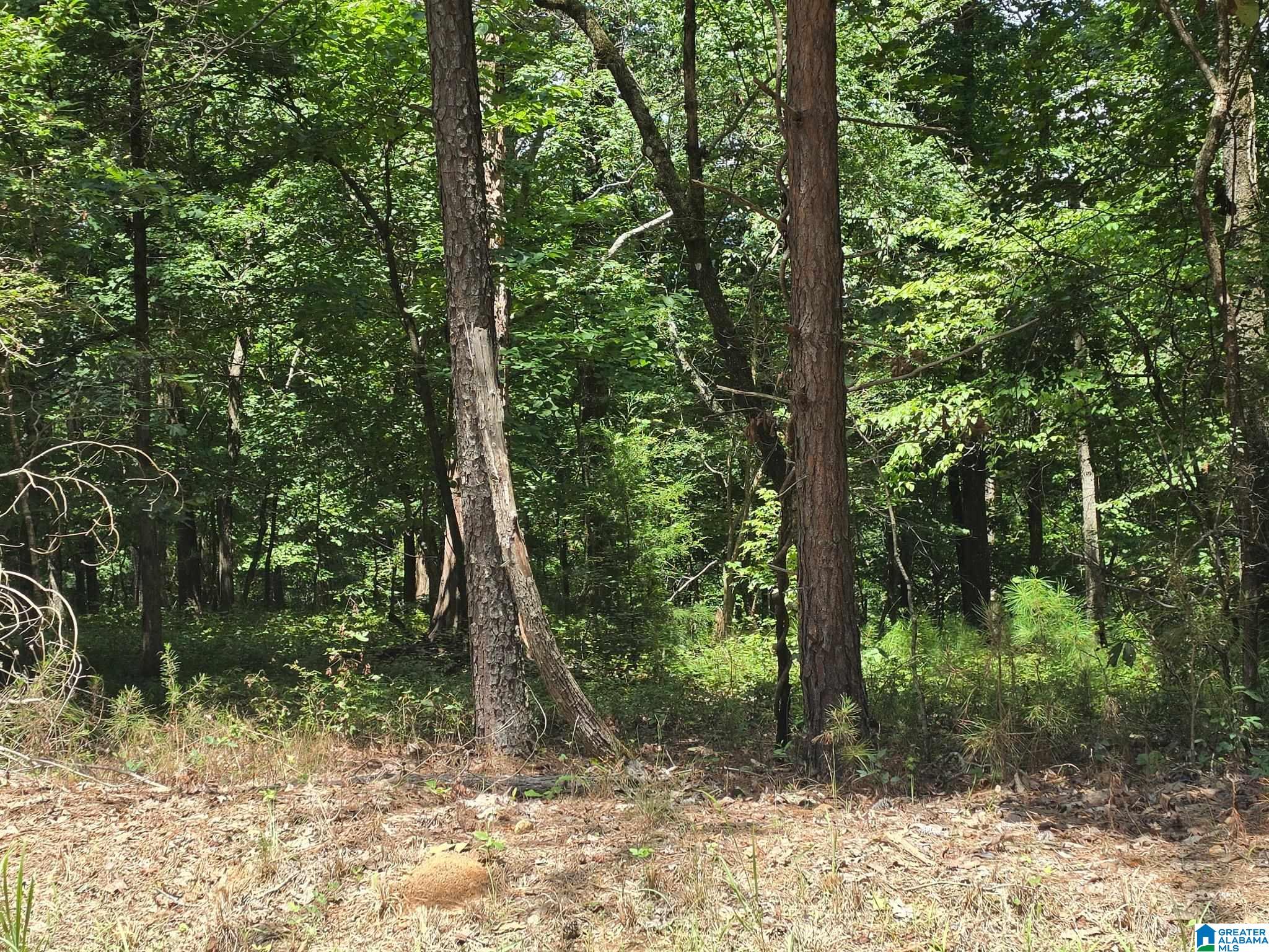 5th image of 4875 War Eagle Dr, Bessemer, AL 35022 | MLS# 21459607