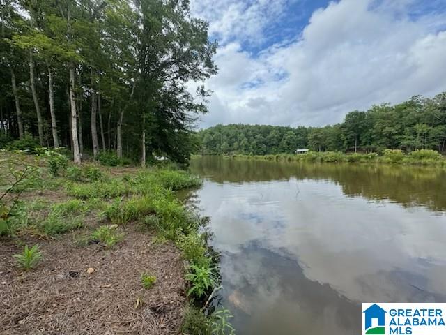 Lot 9 COUNTY ROAD 499