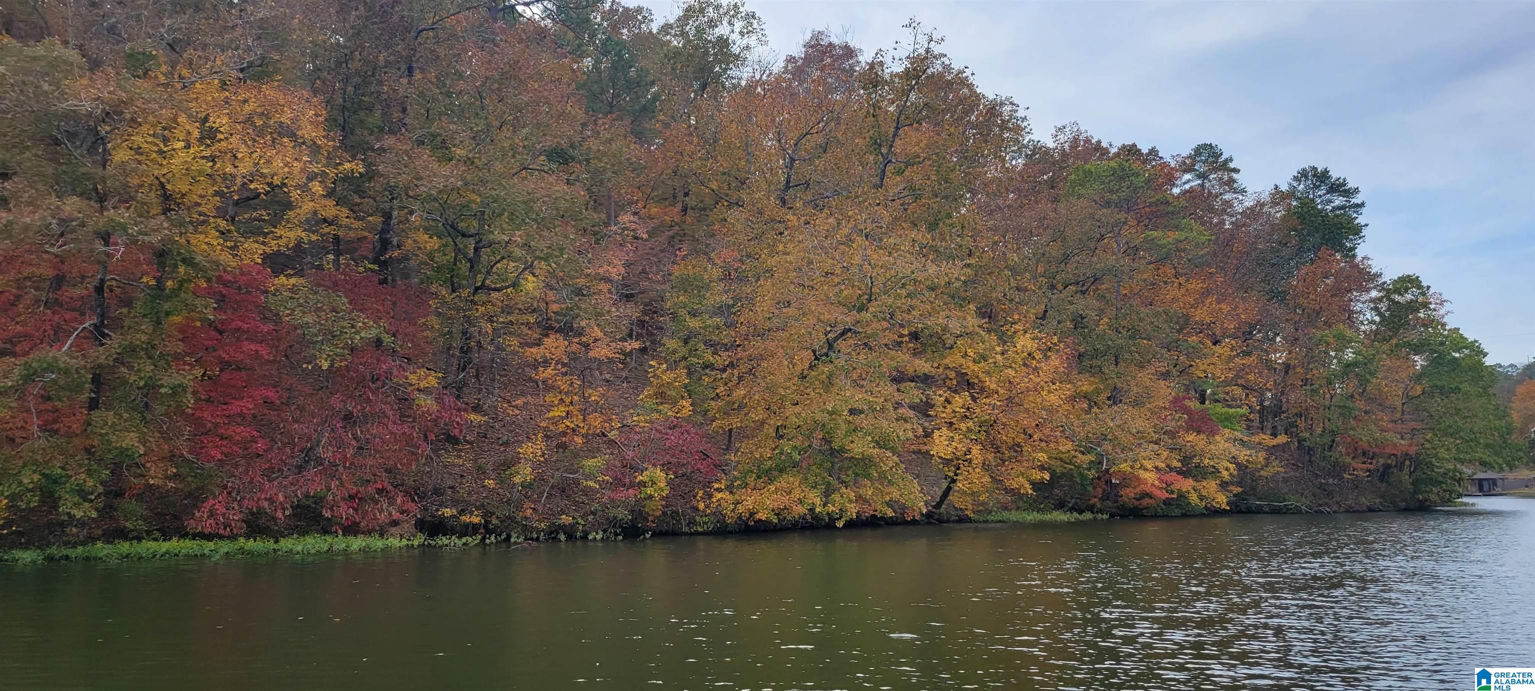 1st image of Lot 7 Eagle Mountain Road, Rockford, AL 35136 | MLS# 21459616