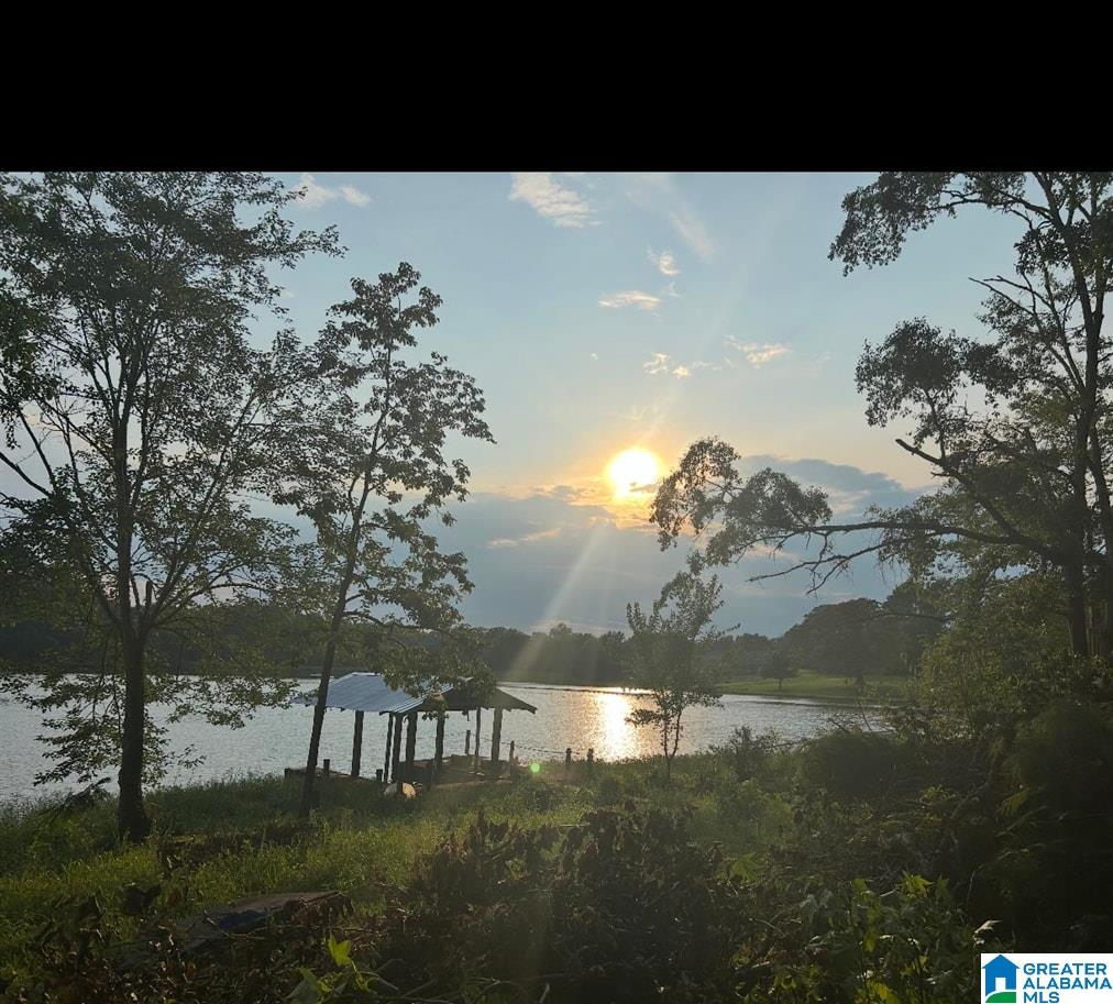 4th image of 13520 Ski Lake Road, Lake View, AL 35111 | MLS# 21459631