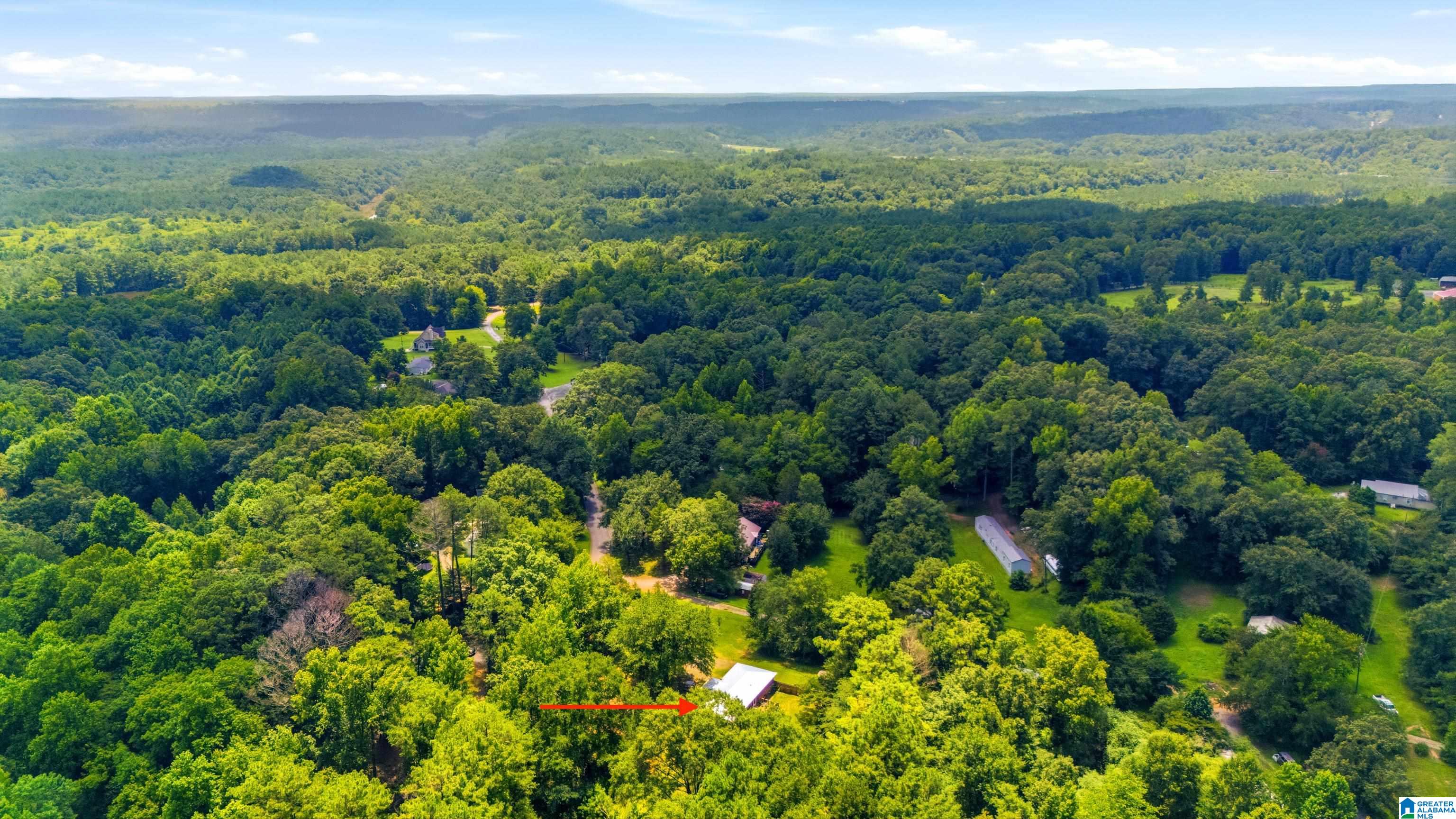 31st image of 5882 Kilgore Church Road, Dora, AL 35062 | MLS# 21459686