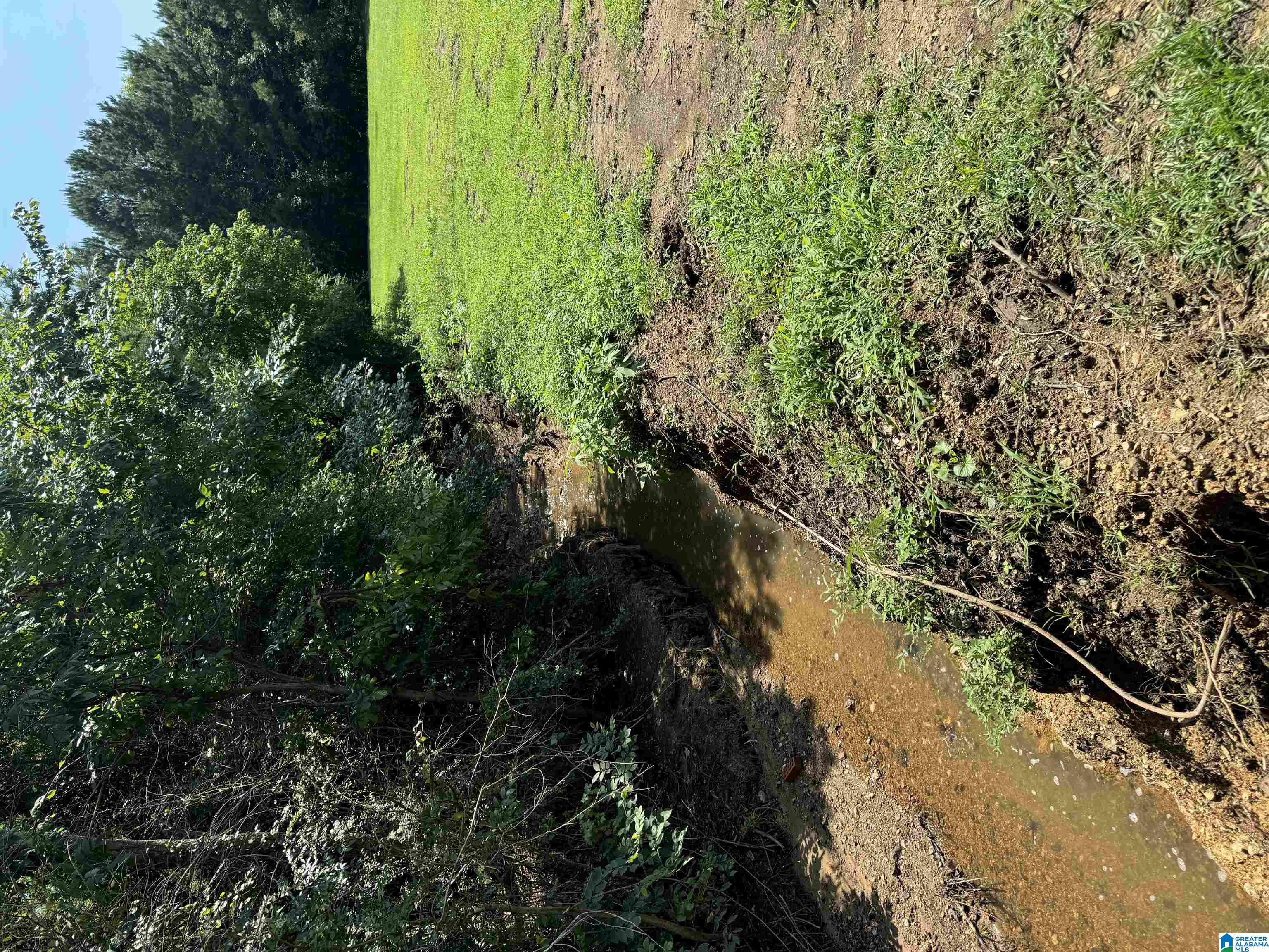 34th image of 1120 Valley Road, Oneonta, AL 35121 | MLS# 21459764