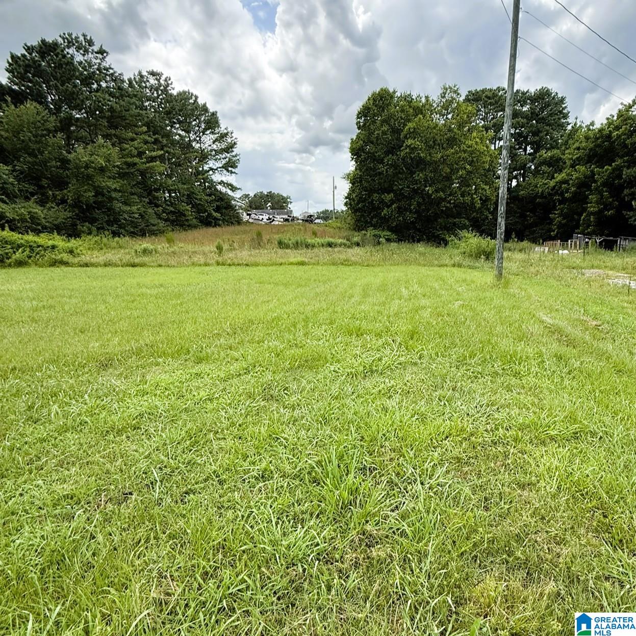 Photo 1 of Land for sale at 202 Johnson Landing Rd, Valhermoso Springs, AL 35775 | MLS# 21459859 | Listing updated on 2026-07-24