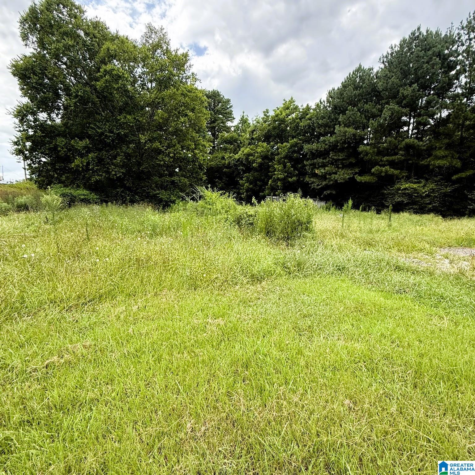 Photo 3 of Land for sale at 202 Johnson Landing Rd, Valhermoso Springs, AL 35775 | MLS# 21459859 | Listing updated on 2026-07-24