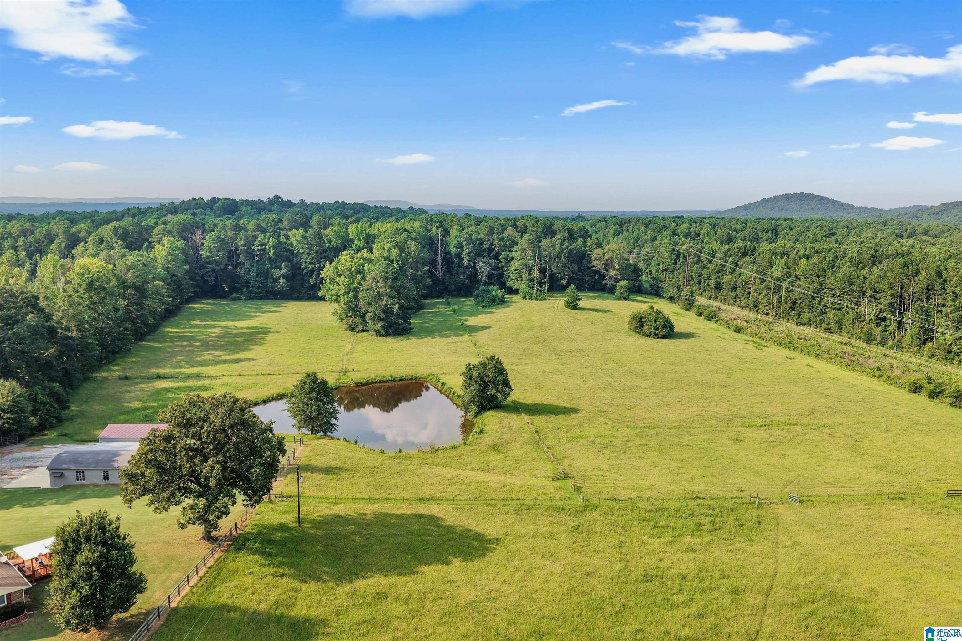 2nd image of 26129 Hwy 25, Wilsonville, AL 35186 | MLS# 21459926