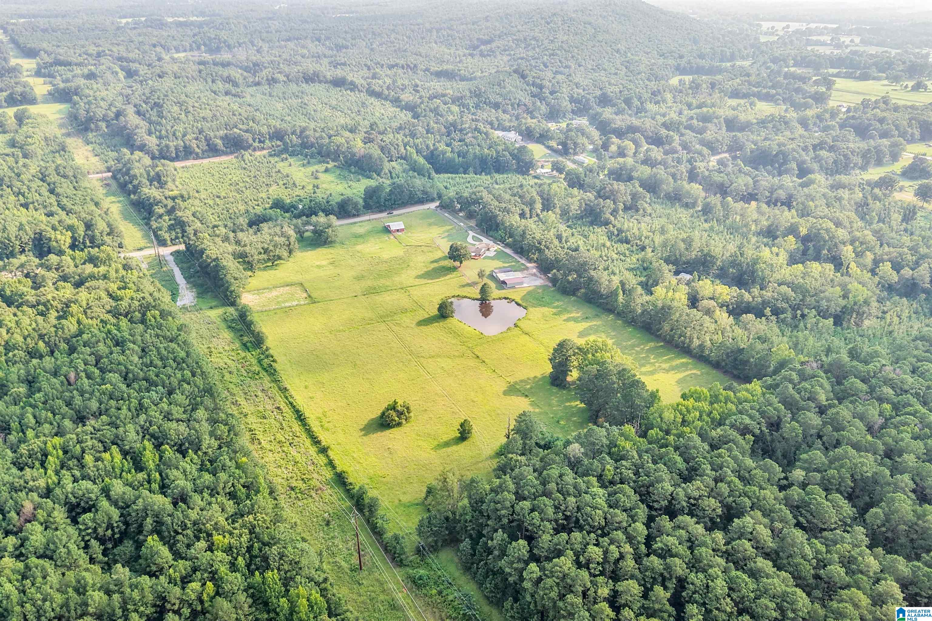 100th image of 26129 Hwy 25, Wilsonville, AL 35186 | MLS# 21459926
